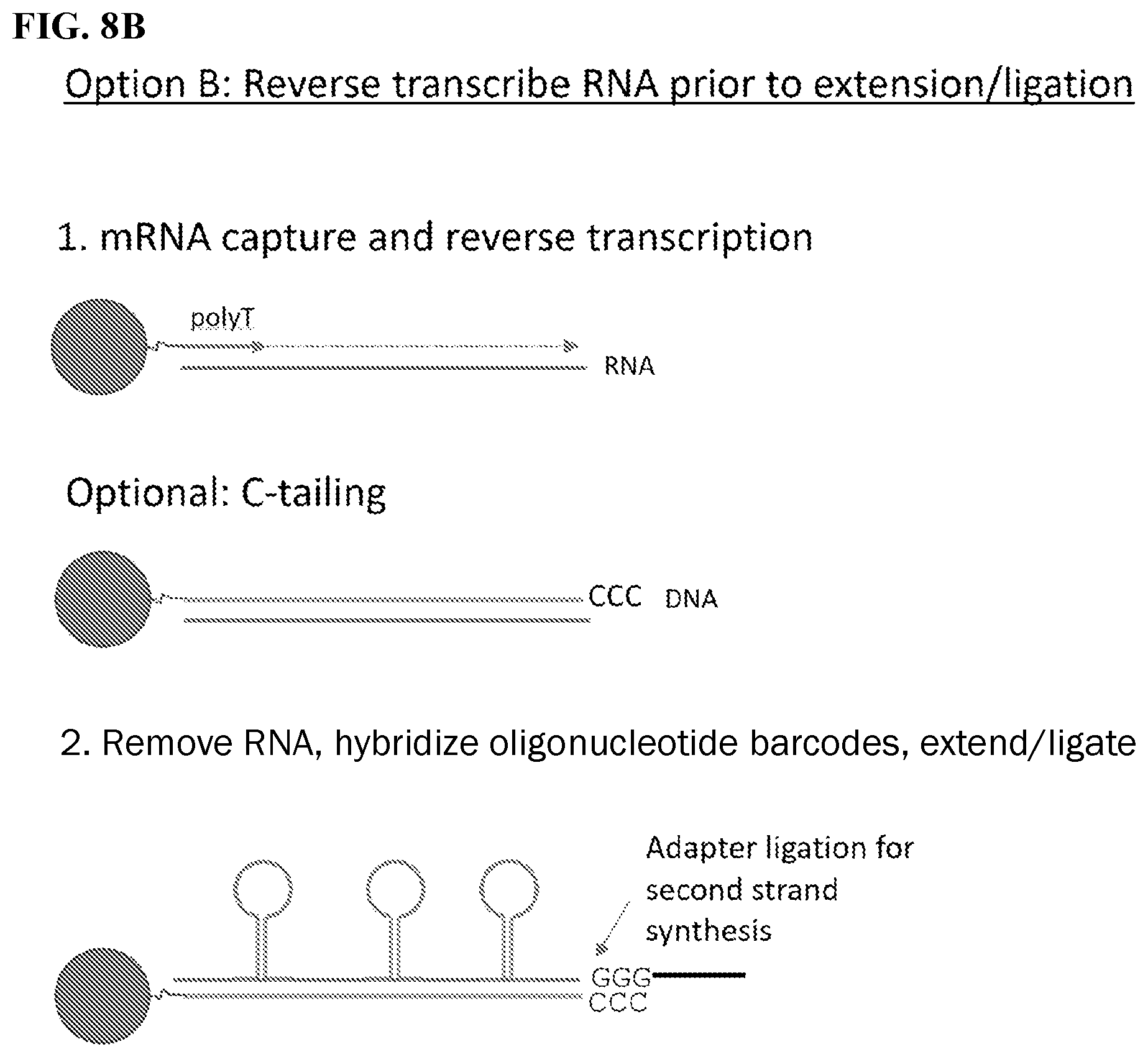 Patent US12139754 Figure 13 – Polynucleotide barcodes for long read sequencing