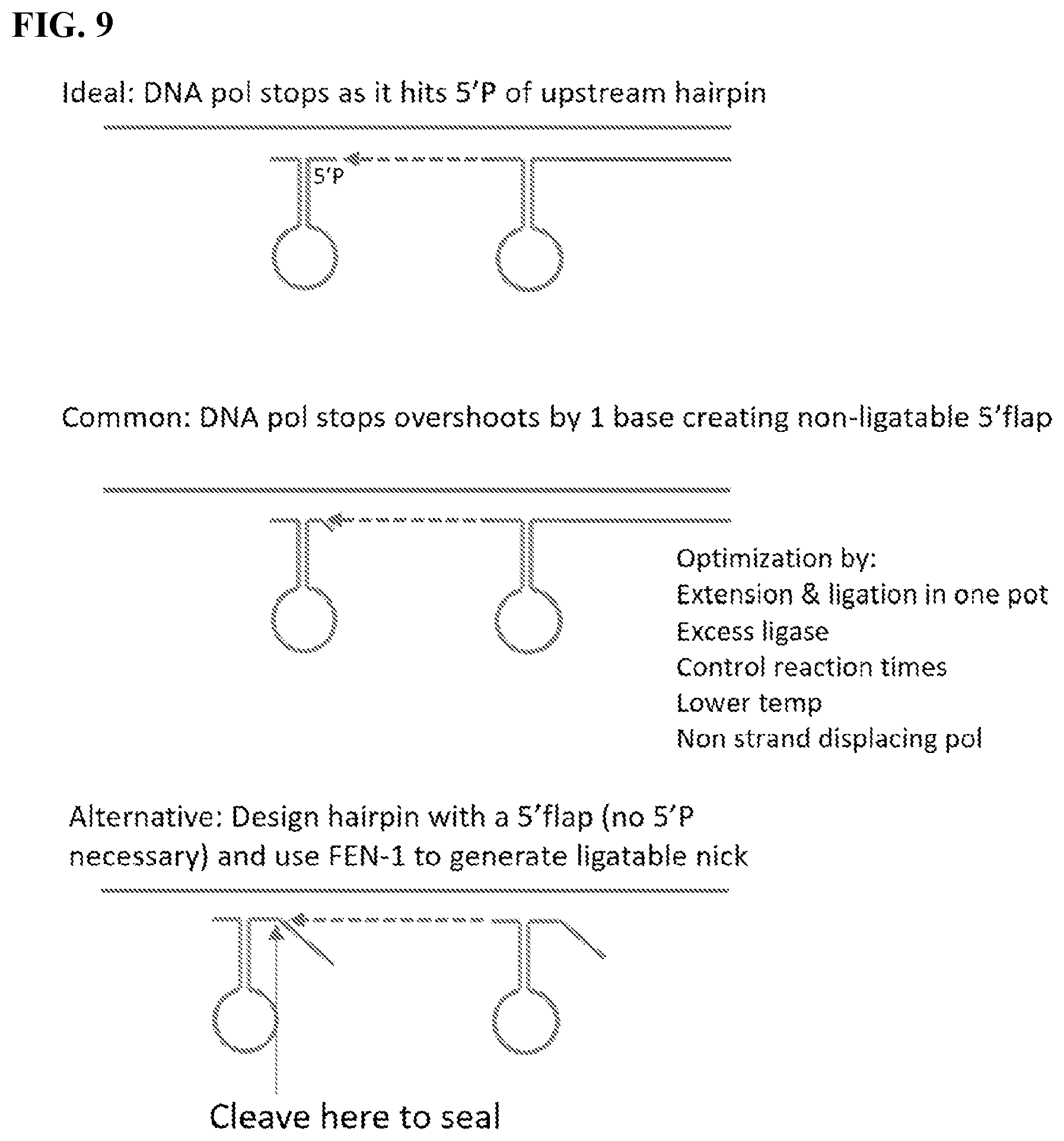 Patent US12139754 Figure 14 – Polynucleotide barcodes for long read sequencing