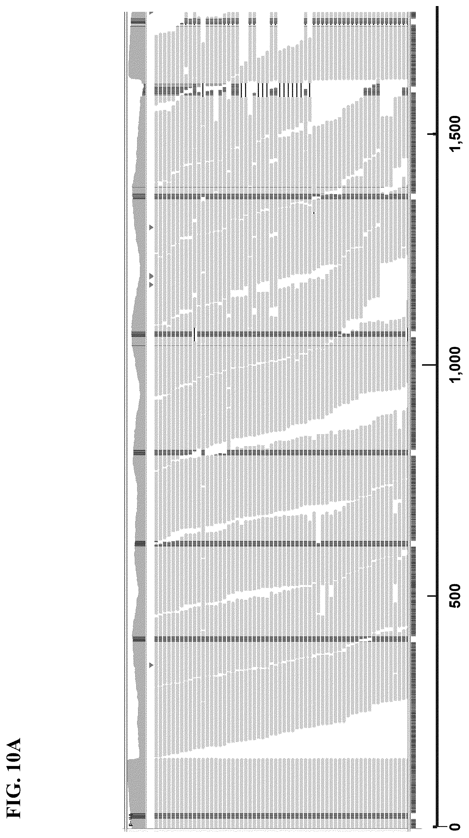 Patent US12139754 Figure 15 – Polynucleotide barcodes for long read sequencing