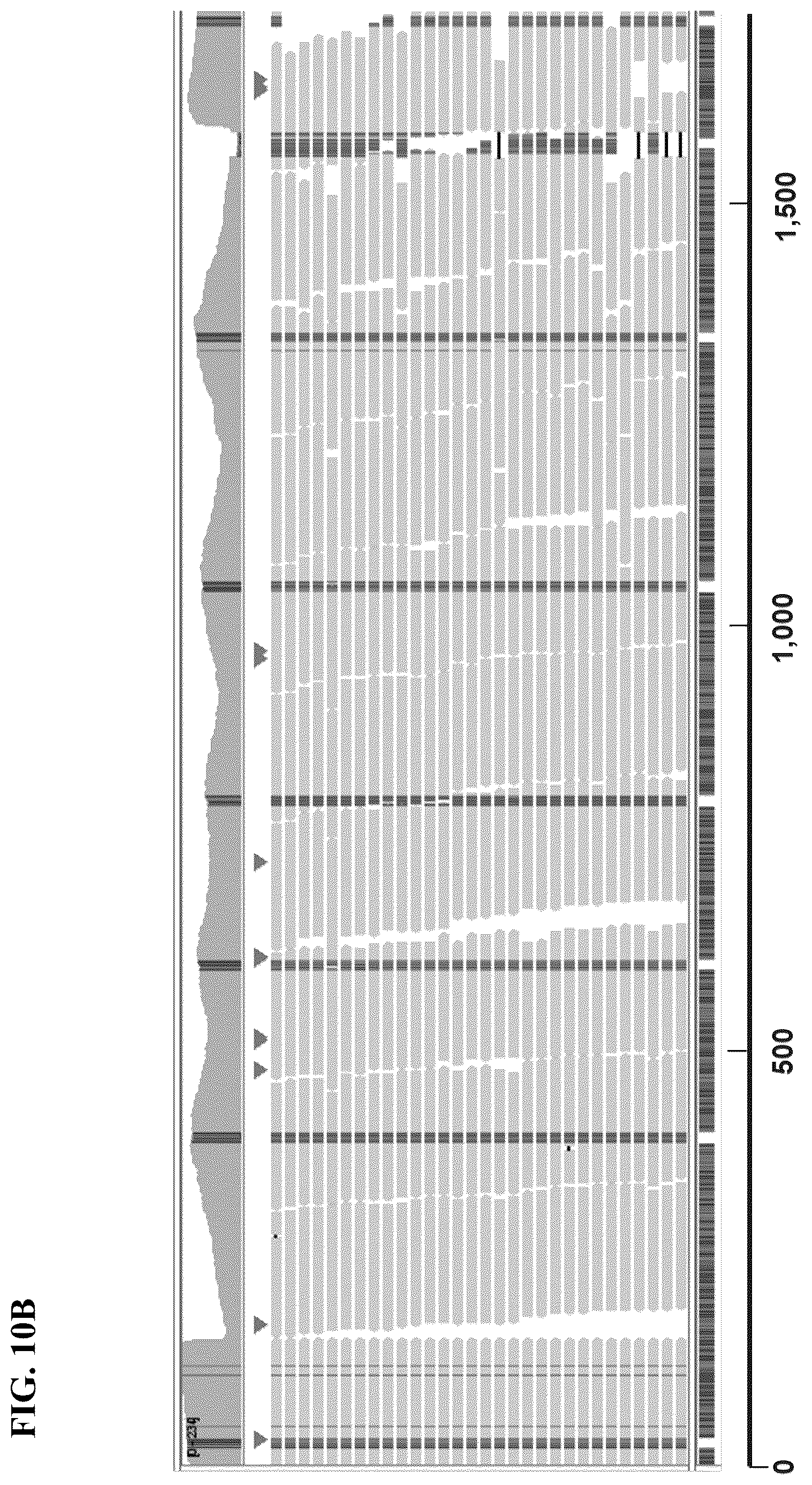 Patent US12139754 Figure 16 – Polynucleotide barcodes for long read sequencing