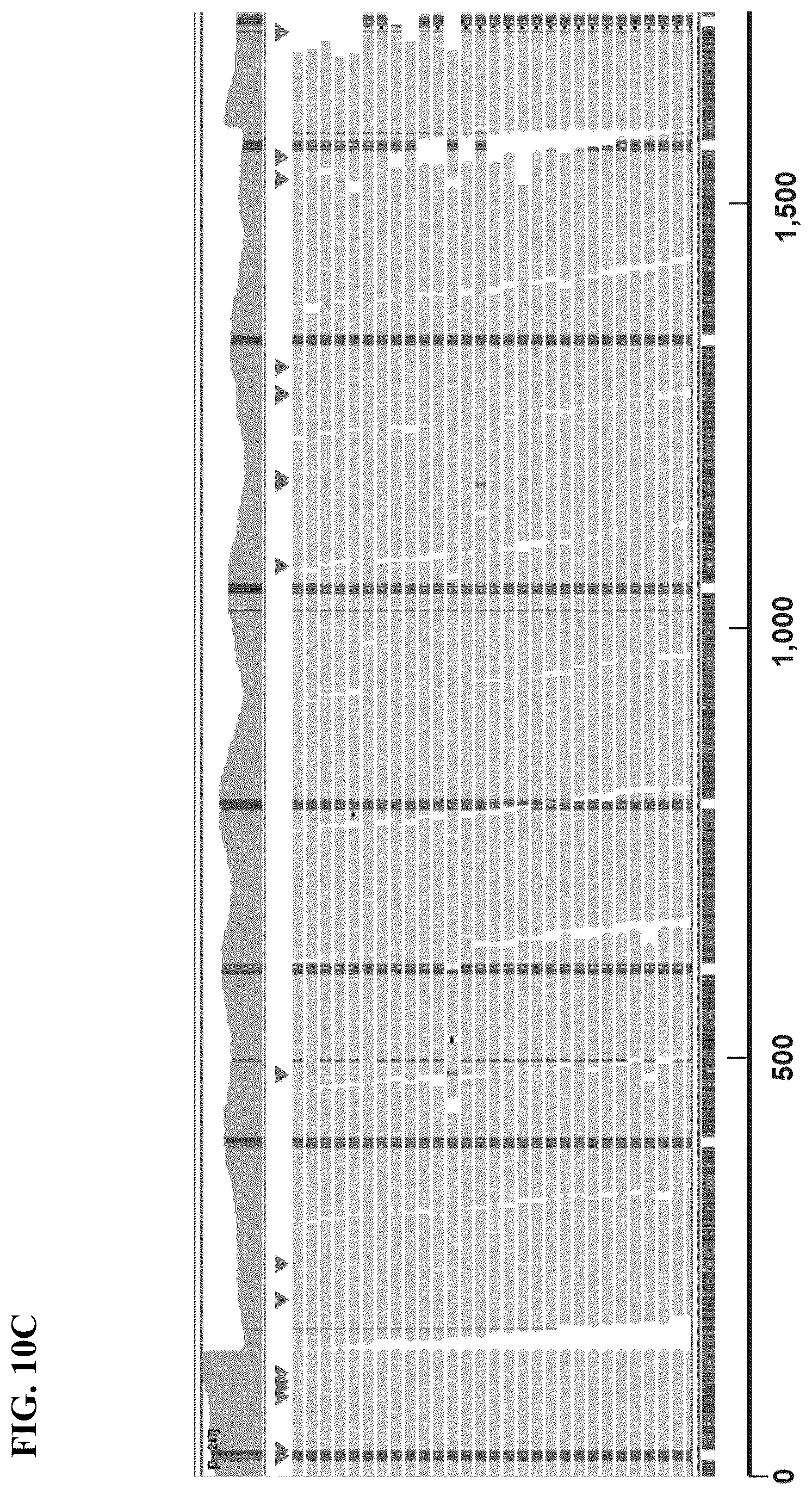 Patent US12139754 Figure 17 – Polynucleotide barcodes for long read sequencing