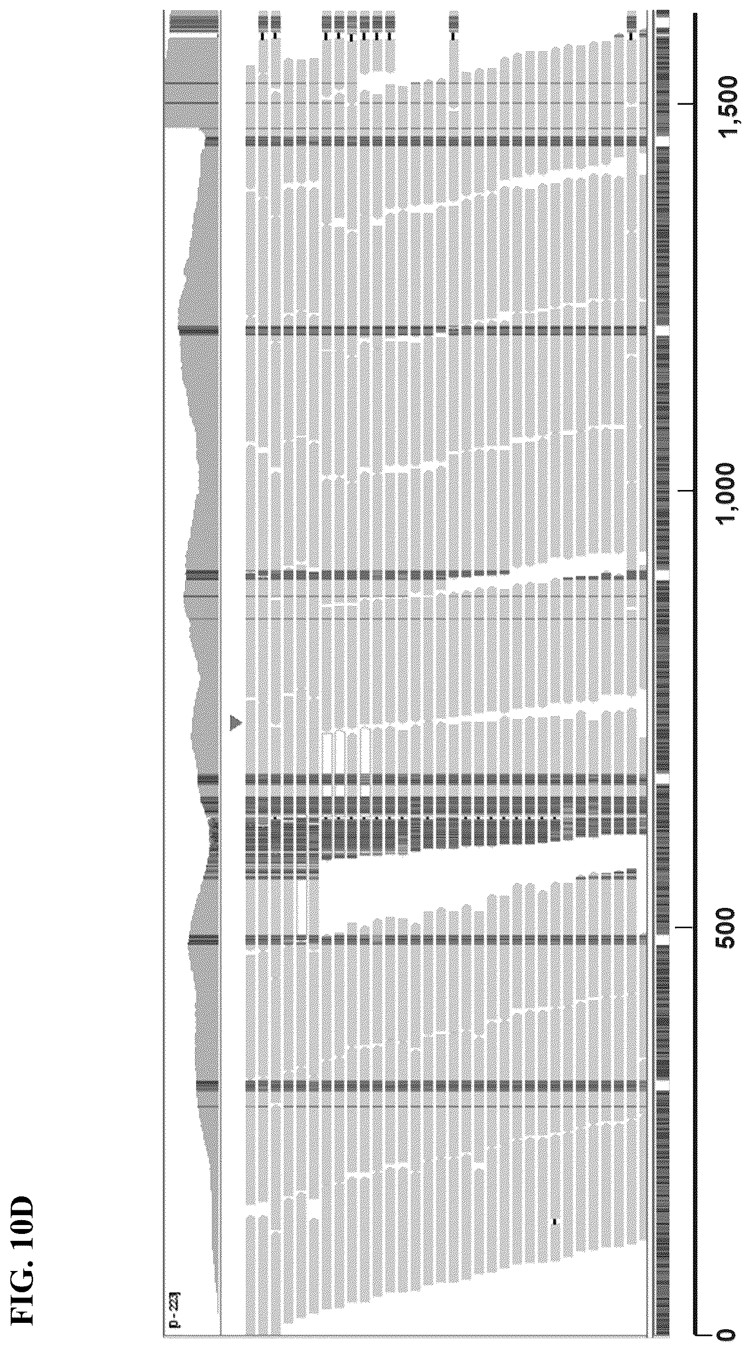 Patent US12139754 Figure 18 – Polynucleotide barcodes for long read sequencing