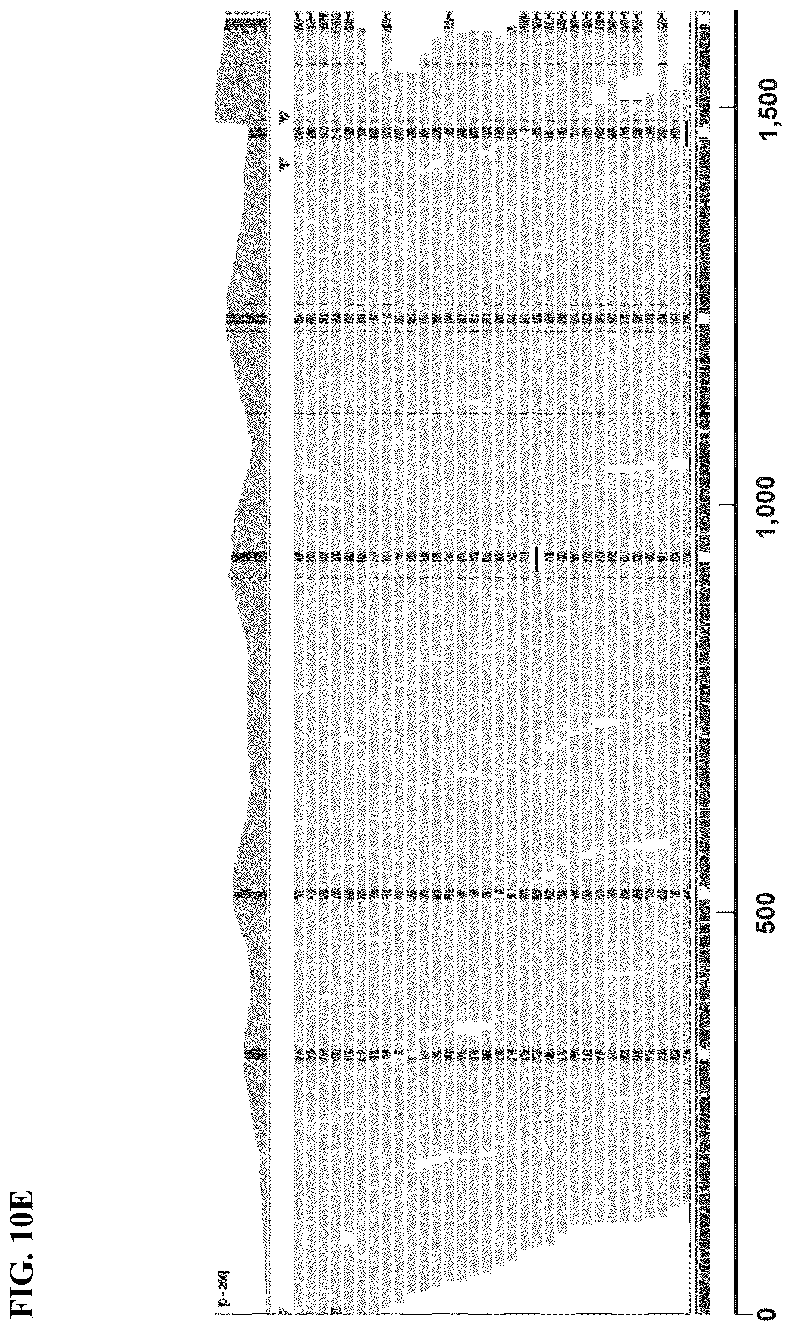 Patent US12139754 Figure 19 – Polynucleotide barcodes for long read sequencing