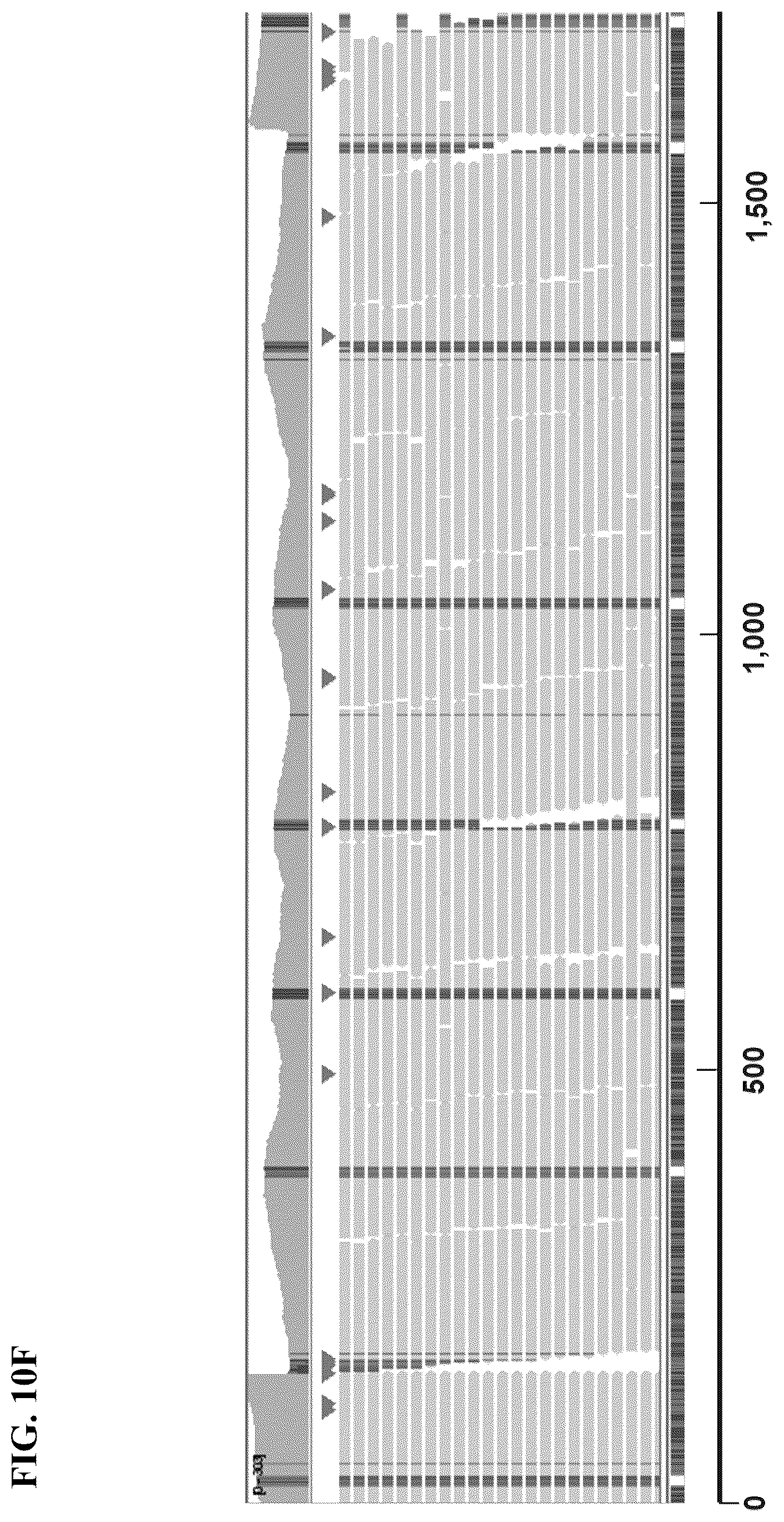 Patent US12139754 Figure 20 – Polynucleotide barcodes for long read sequencing