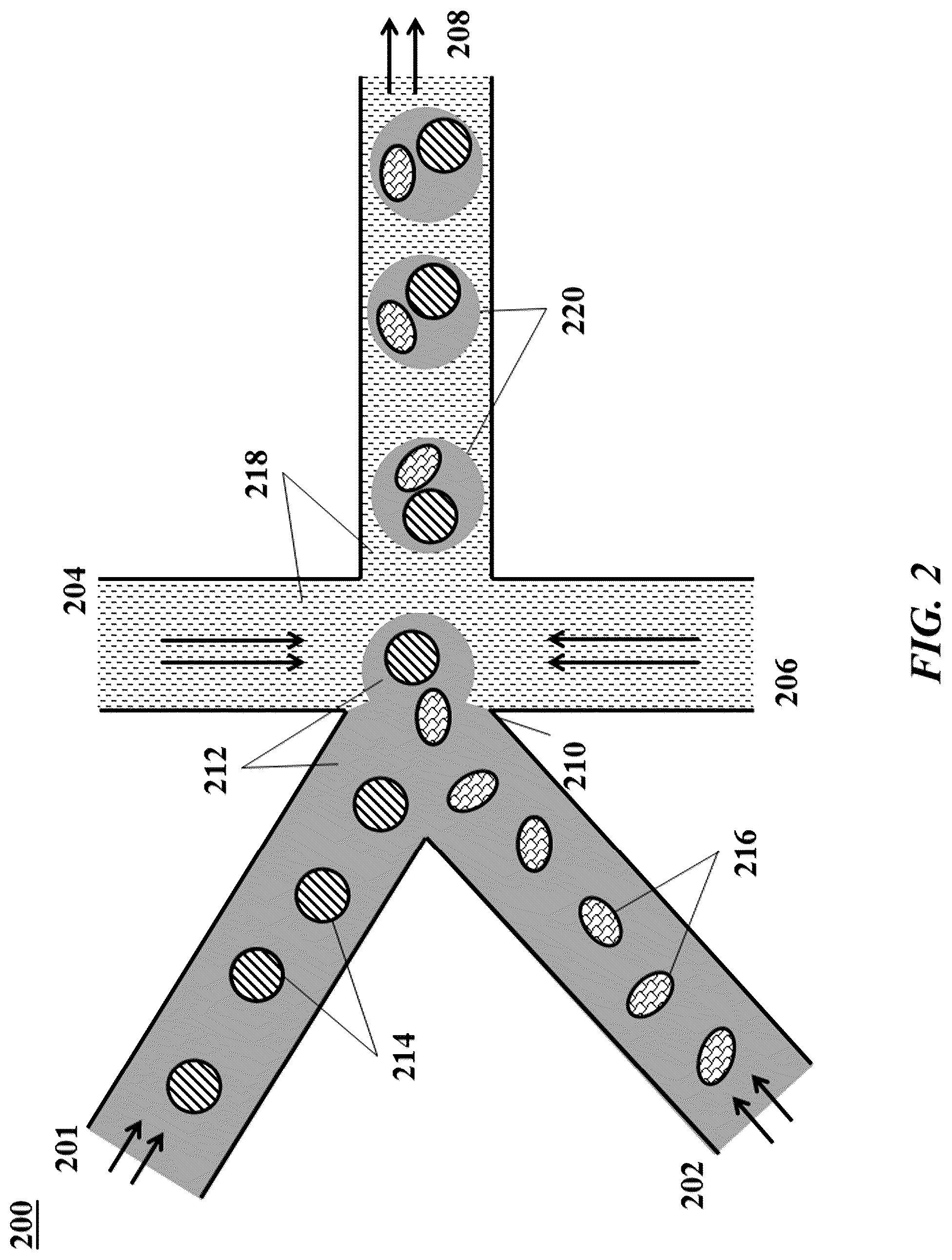 Patent US12139756 Figure 2 – Systems and methods for processing-nucleic acid molecules from a single cell using sequential co-partitioning and composite barcodes