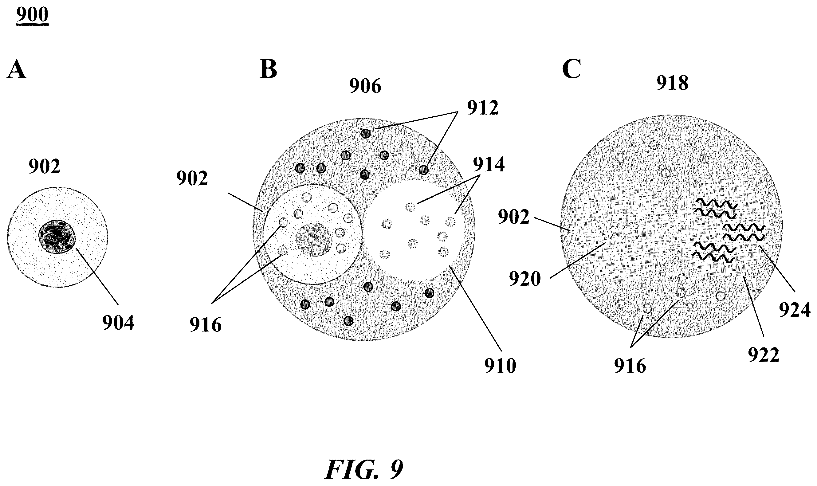 Patent US12139756 Figure 9 – Systems and methods for processing-nucleic acid molecules from a single cell using sequential co-partitioning and composite barcodes