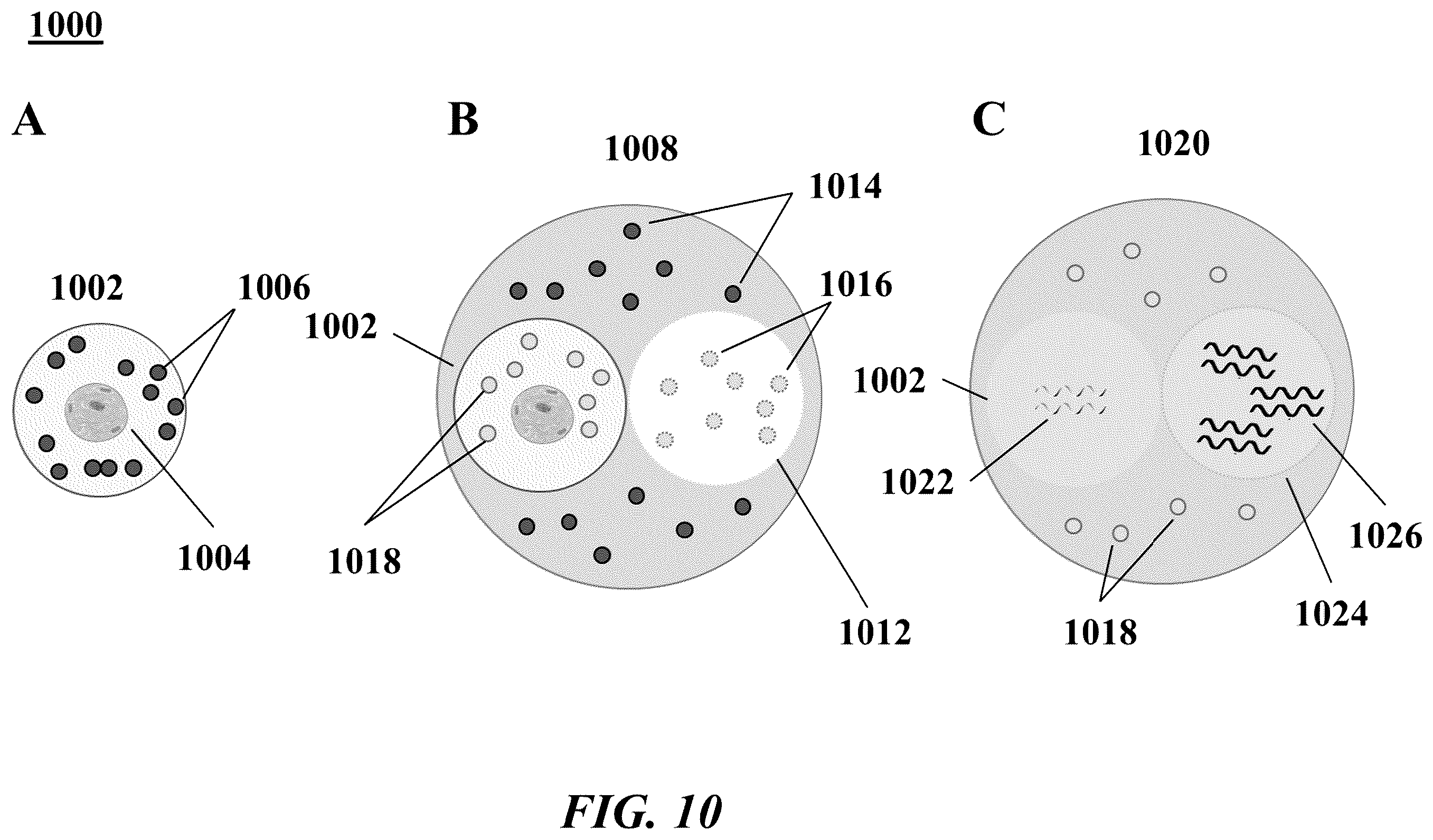 Patent US12139756 Figure 10 – Systems and methods for processing-nucleic acid molecules from a single cell using sequential co-partitioning and composite barcodes