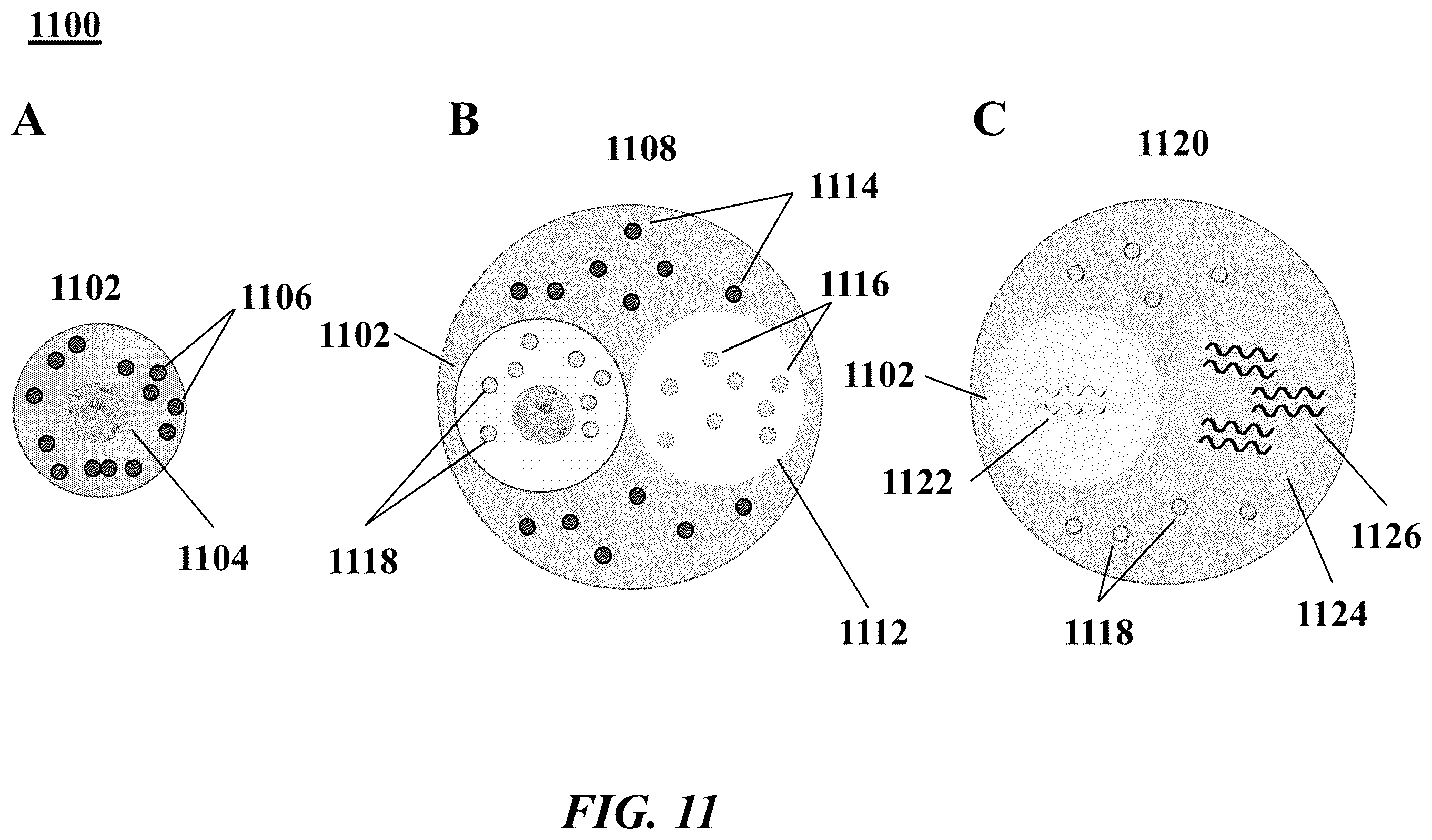 Patent US12139756 Figure 11 – Systems and methods for processing-nucleic acid molecules from a single cell using sequential co-partitioning and composite barcodes