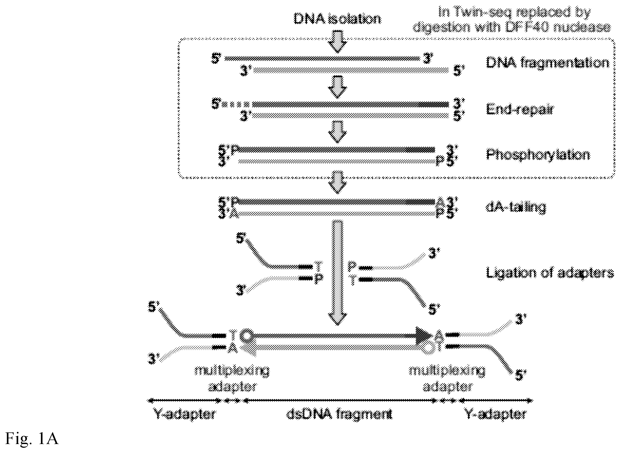 Patent US12139757 Figure 1 – Method for accurate sequencing of DNA