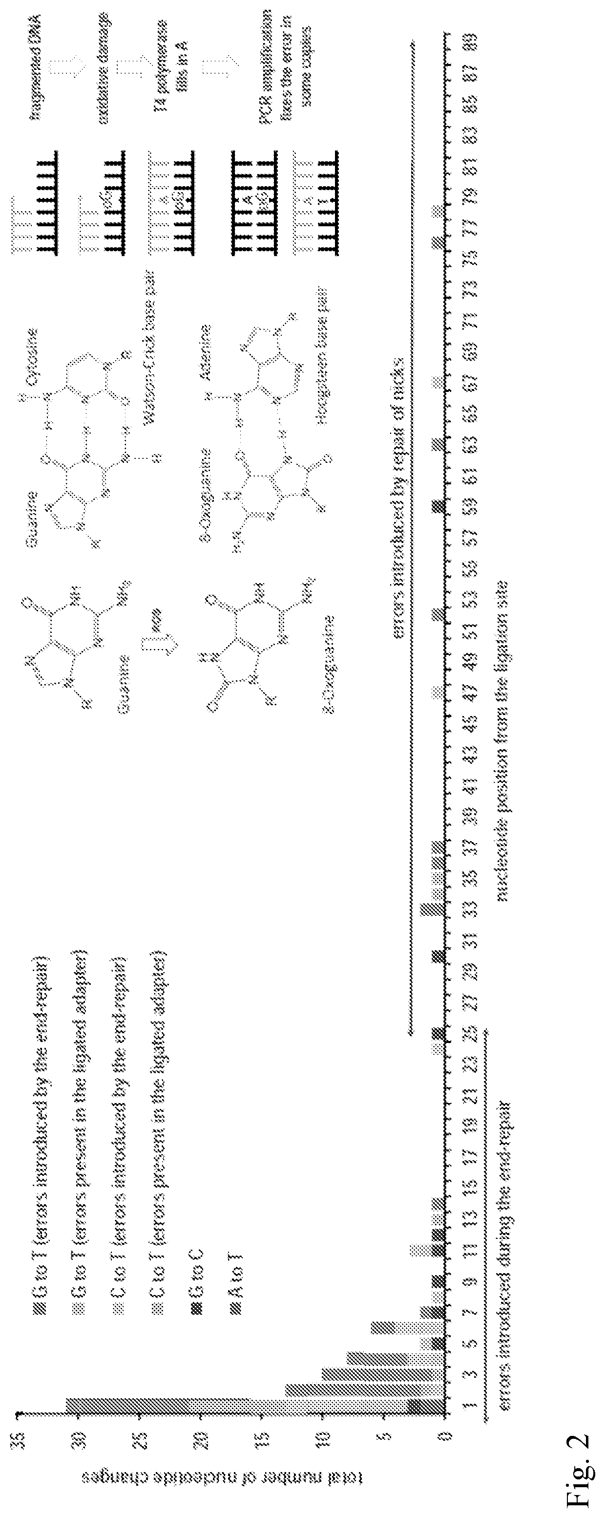 Patent US12139757 Figure 3 – Method for accurate sequencing of DNA
