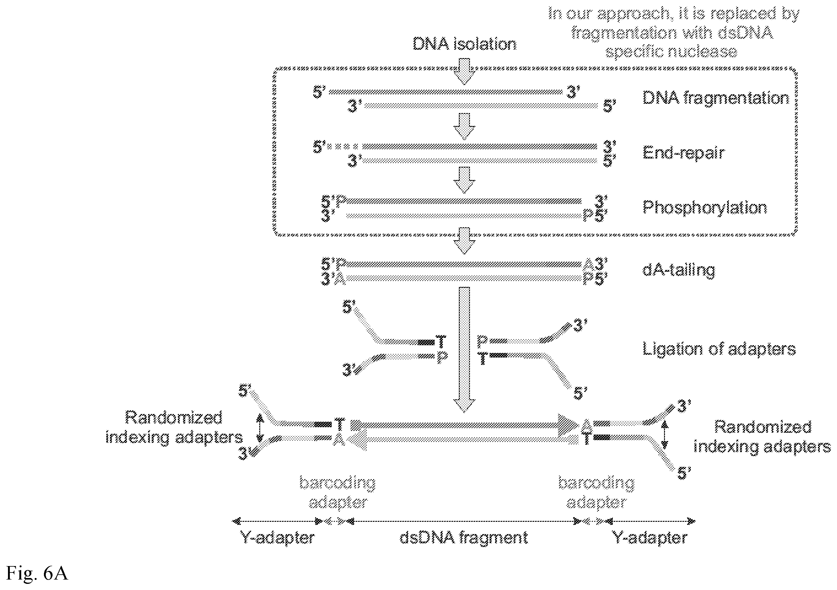 Patent US12139757 Figure 7 – Method for accurate sequencing of DNA