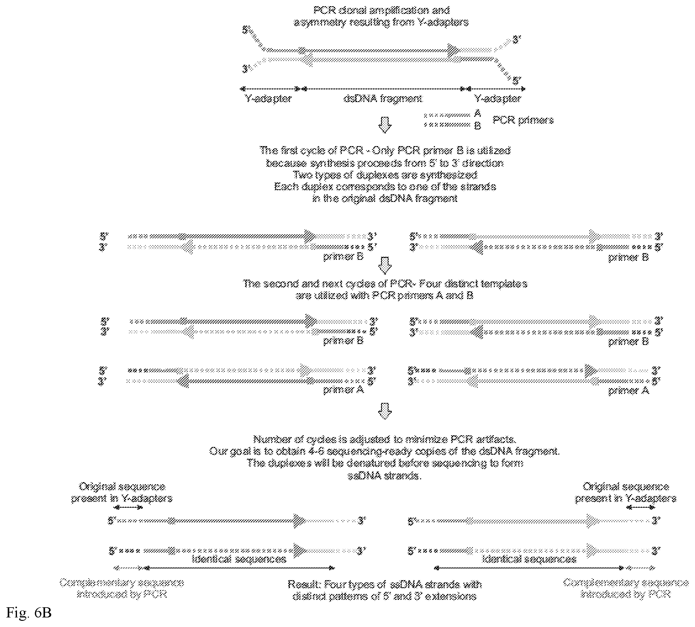 Patent US12139757 Figure 8 – Method for accurate sequencing of DNA
