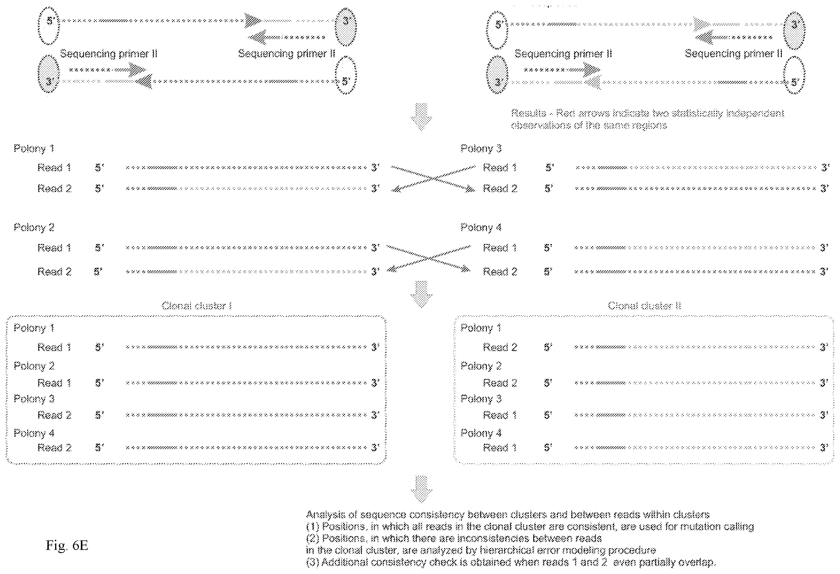 Patent US12139757 Figure 11 – Method for accurate sequencing of DNA