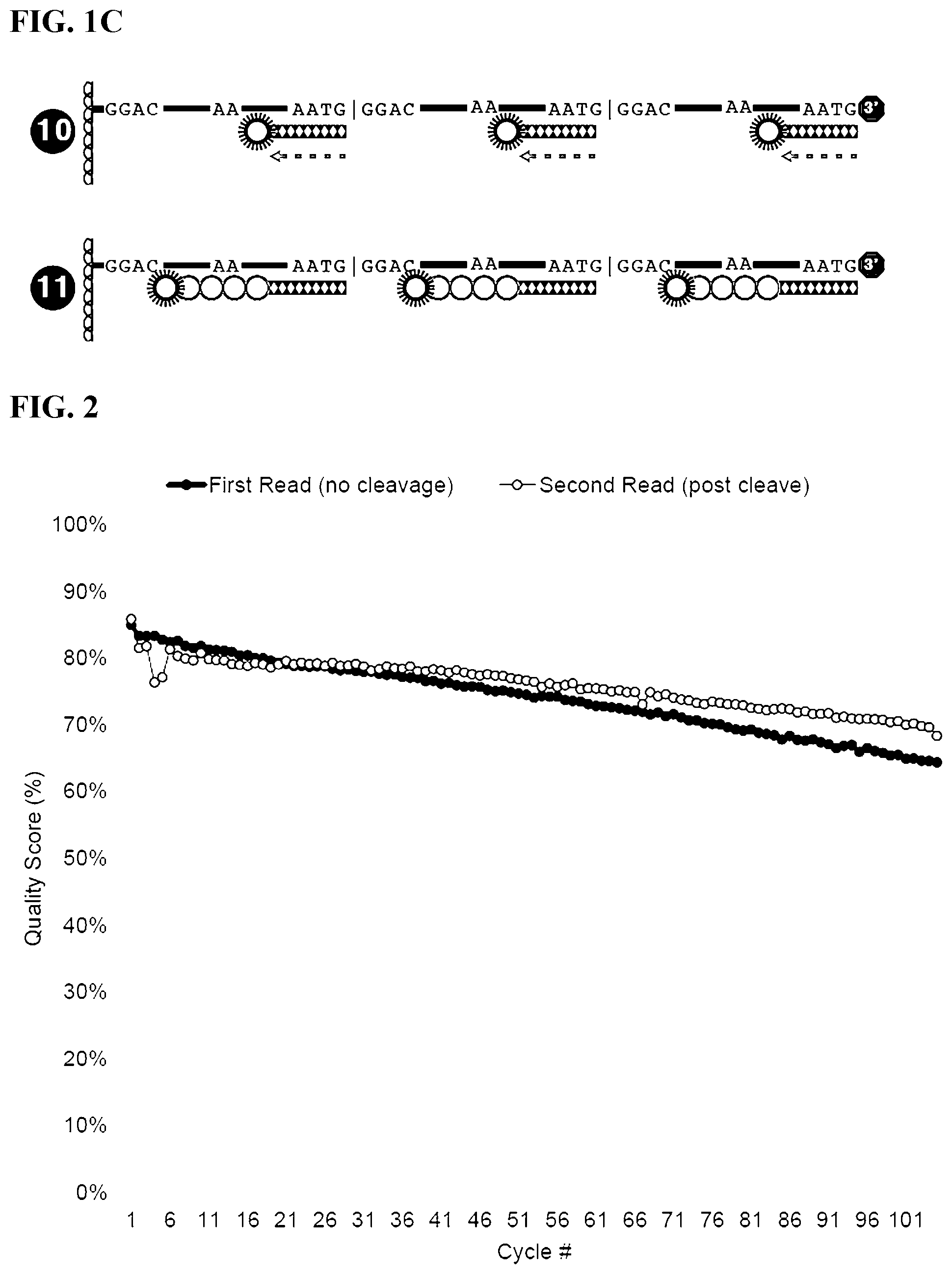 Patent US12139759 Figure 3 – Methods of sequencing circular template polynucleotides