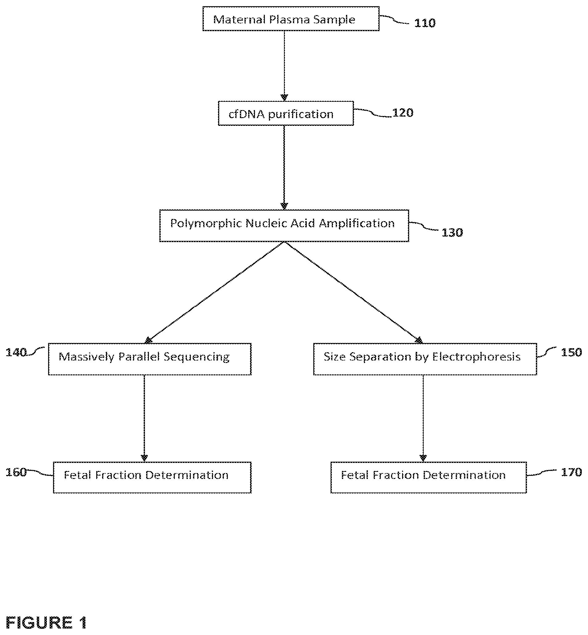 Patent US12139760 Figure 1 – Methods for determining fraction of fetal nucleic acids in maternal samples