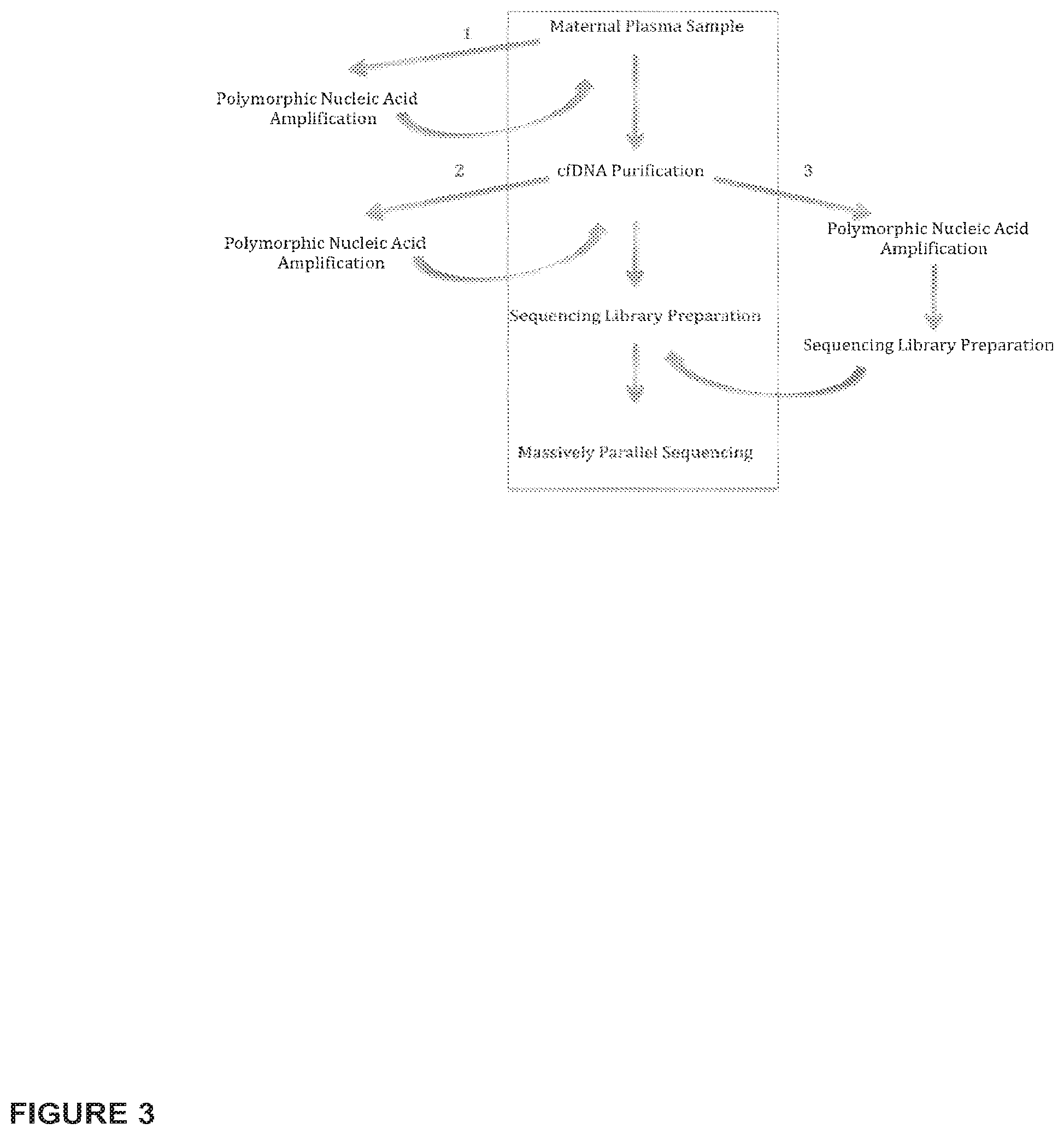 Patent US12139760 Figure 3 – Methods for determining fraction of fetal nucleic acids in maternal samples
