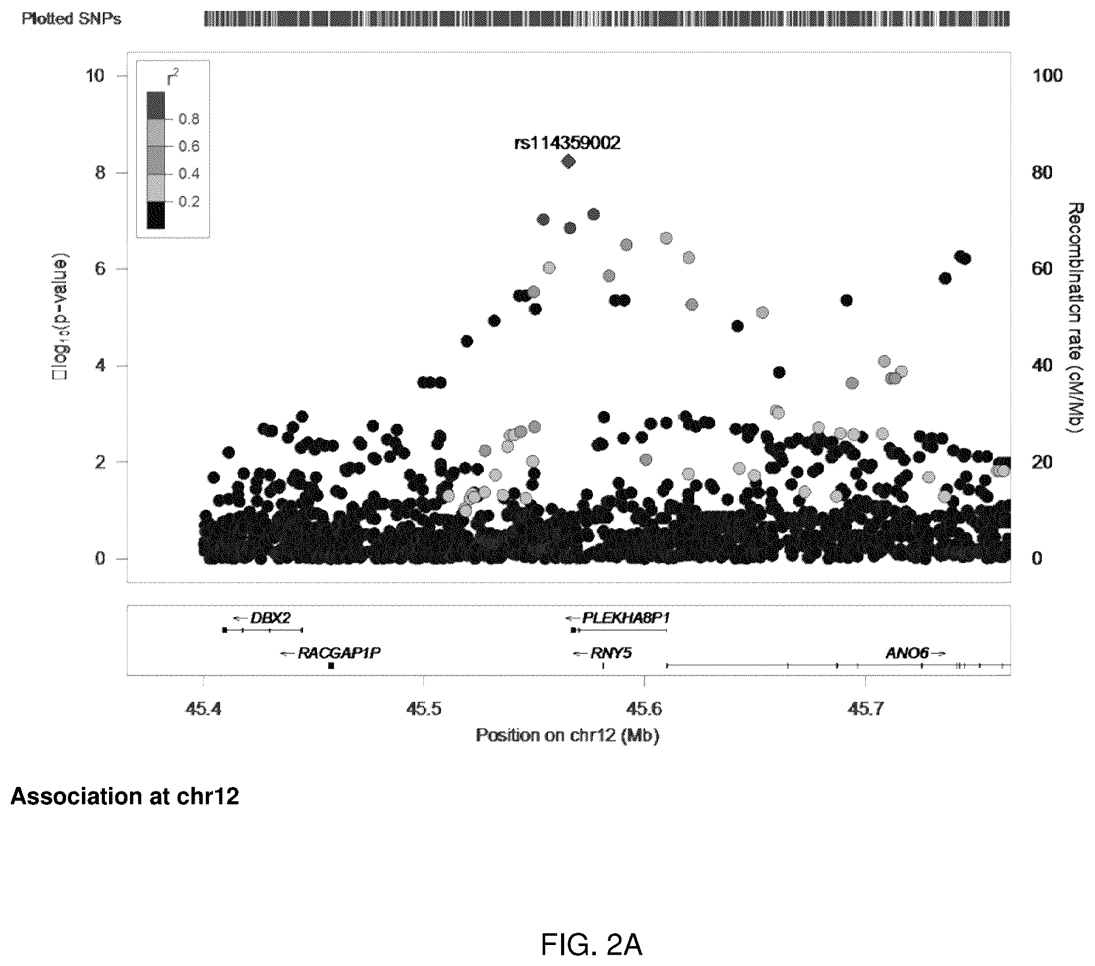 Patent US12139762 Figure 3 – Association of genetic variations to diagnose and treat attention-deficit hyperactivity disorder (ADHD)