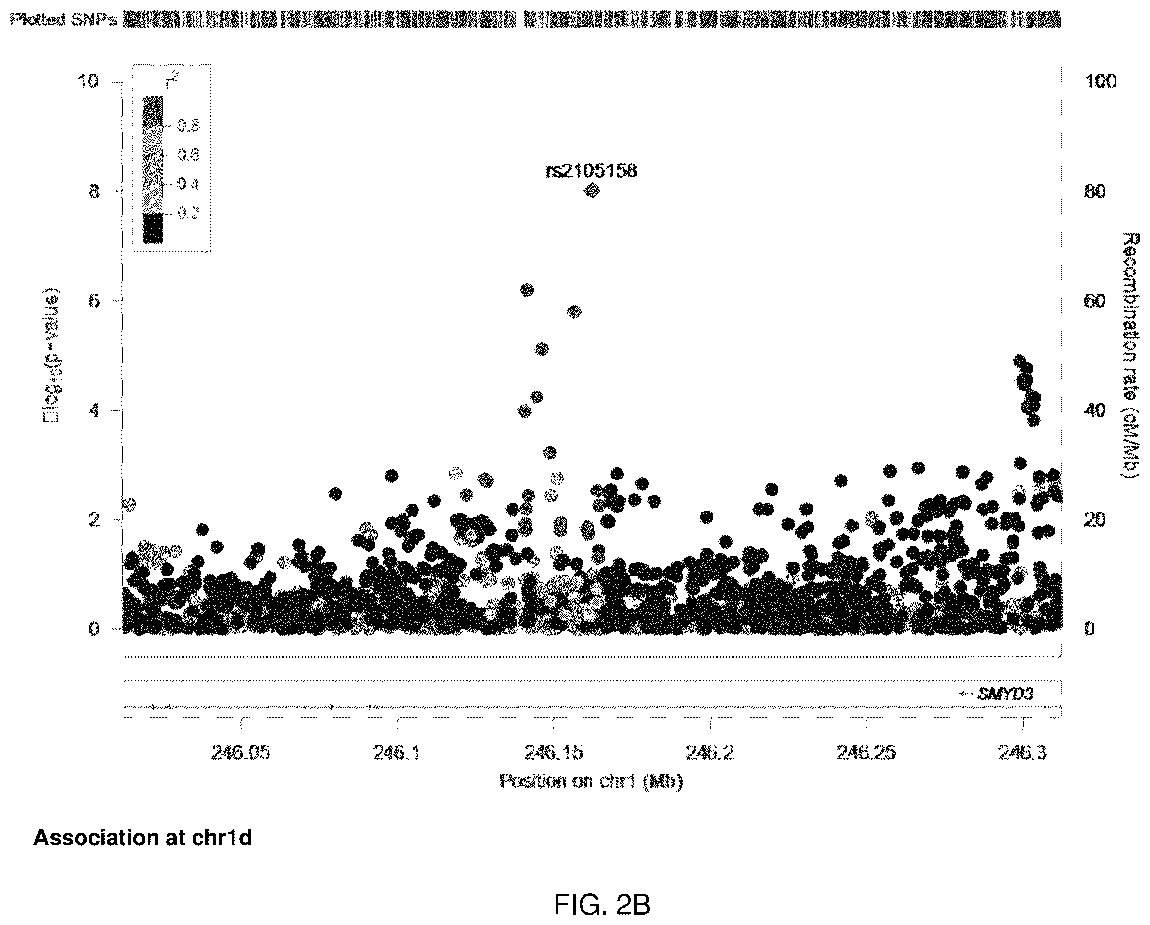Patent US12139762 Figure 4 – Association of genetic variations to diagnose and treat attention-deficit hyperactivity disorder (ADHD)