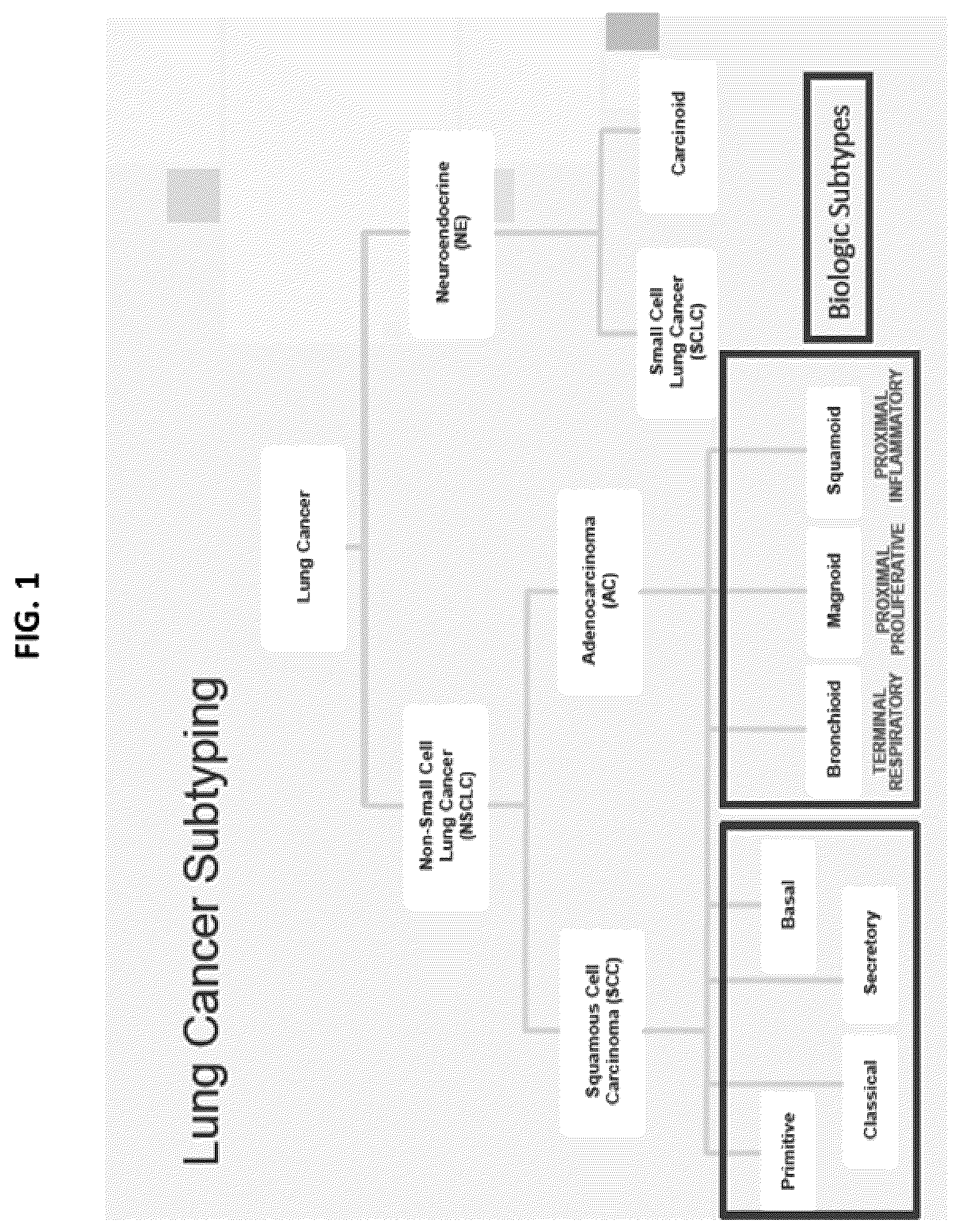 Patent US12139763 Figure 1 – Methods for subtyping of lung adenocarcinoma