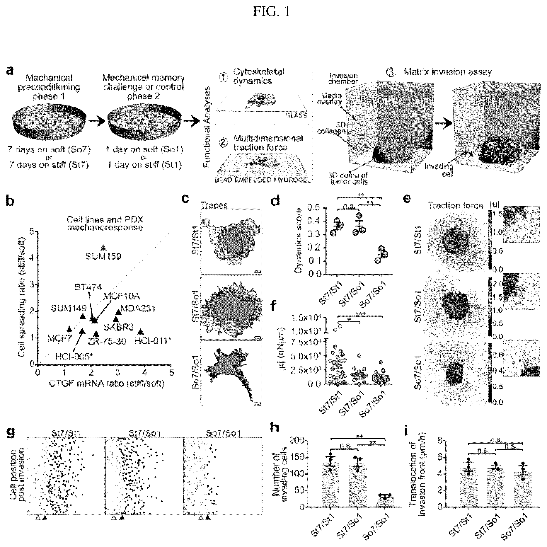 Patent US12139764 Figure 1 – Systems and methods for characterizing and treating breast cancer