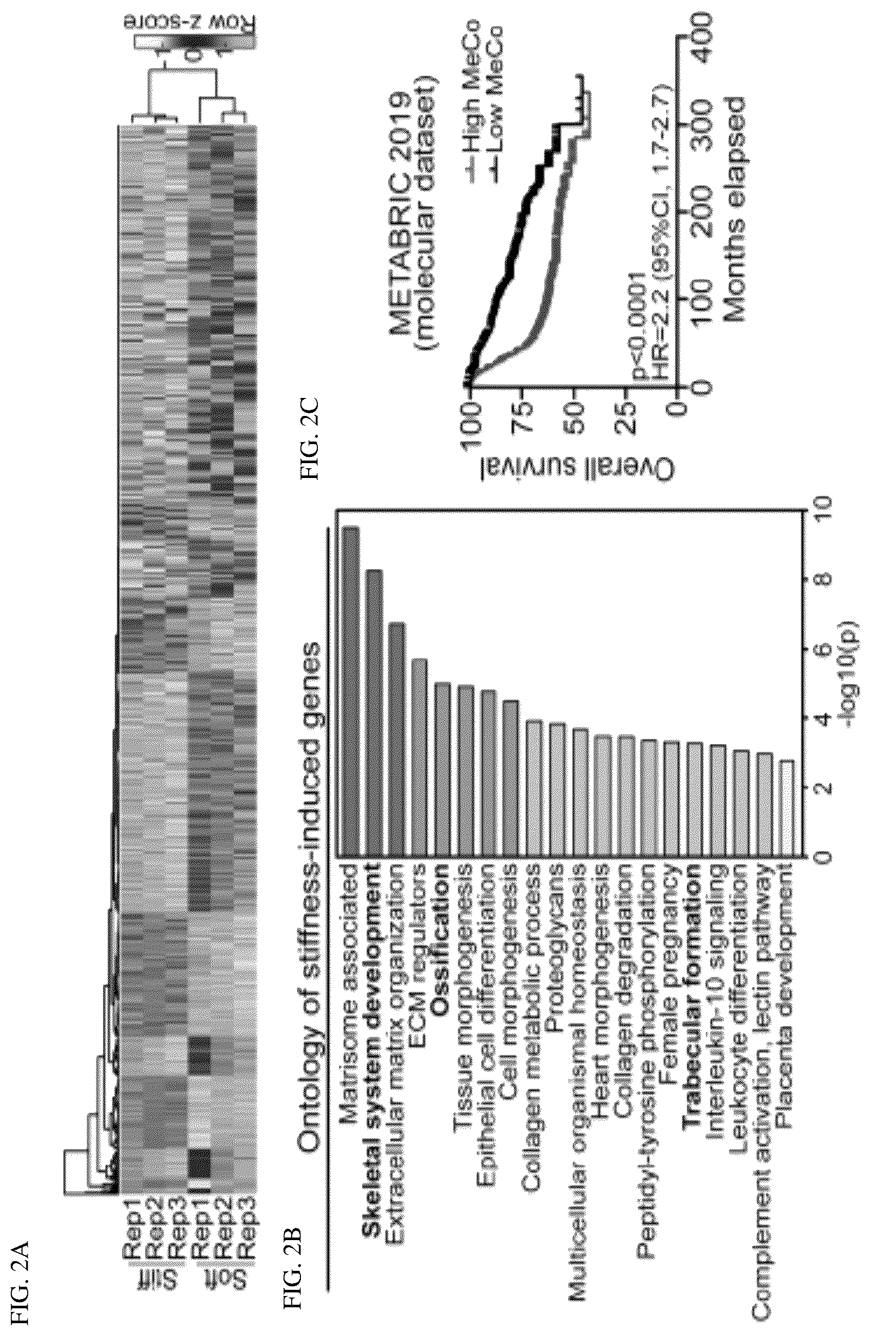 Patent US12139764 Figure 2 – Systems and methods for characterizing and treating breast cancer