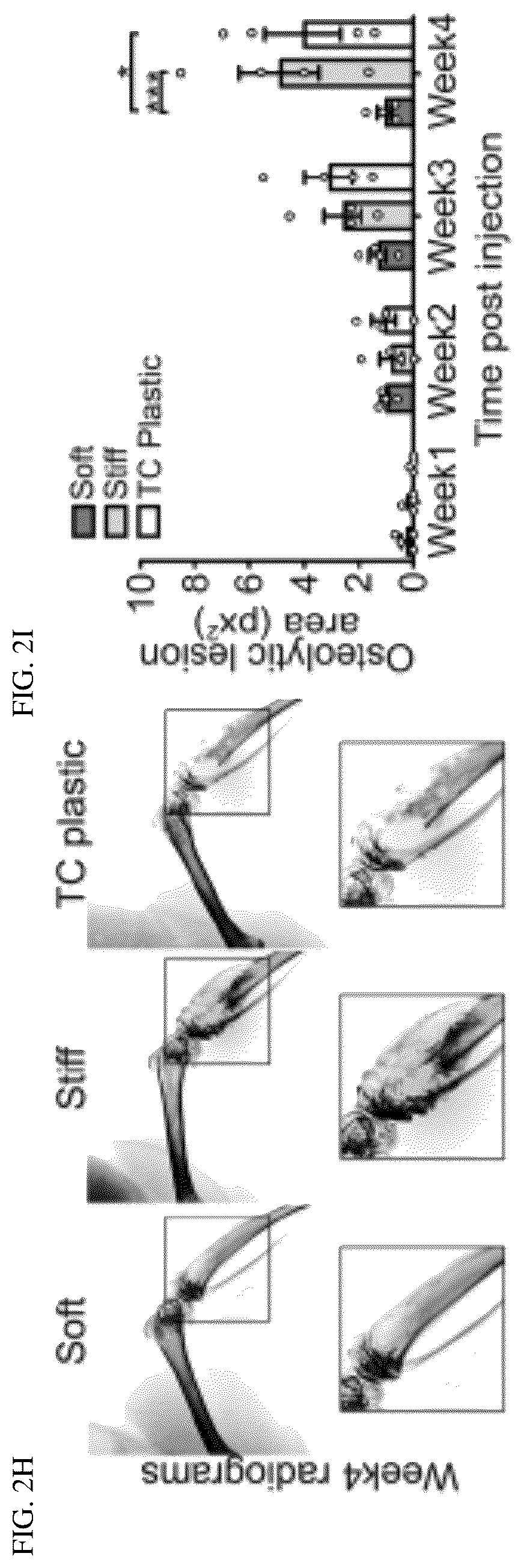 Patent US12139764 Figure 4 – Systems and methods for characterizing and treating breast cancer
