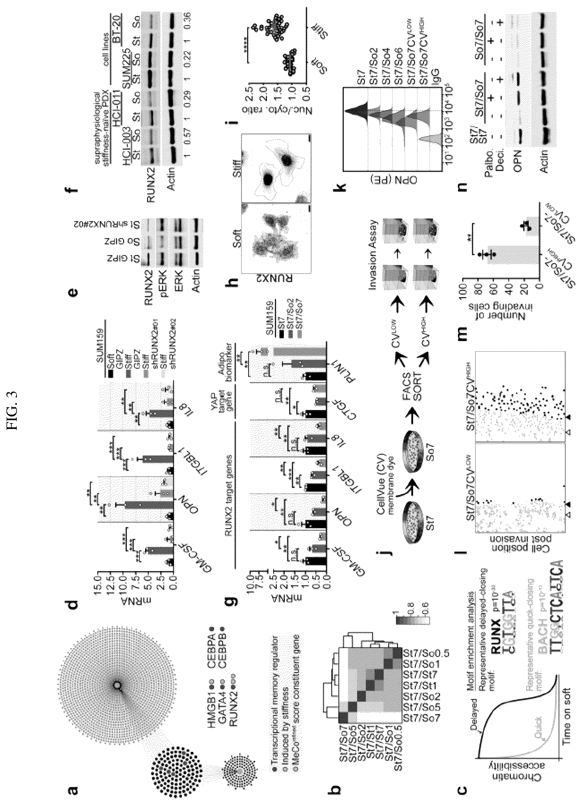 Patent US12139764 Figure 5 – Systems and methods for characterizing and treating breast cancer