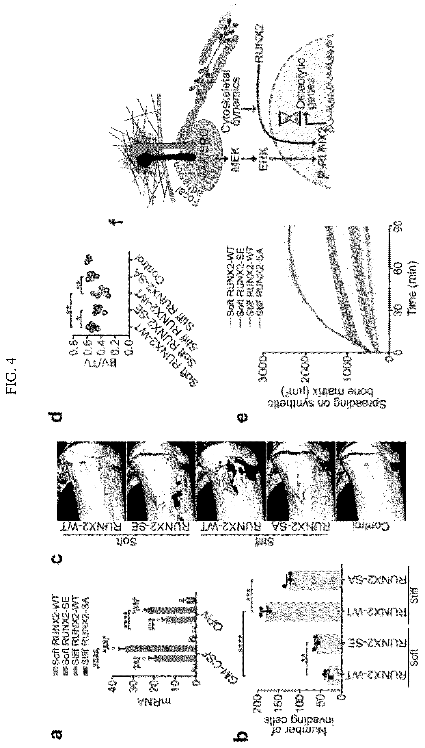 Patent US12139764 Figure 6 – Systems and methods for characterizing and treating breast cancer
