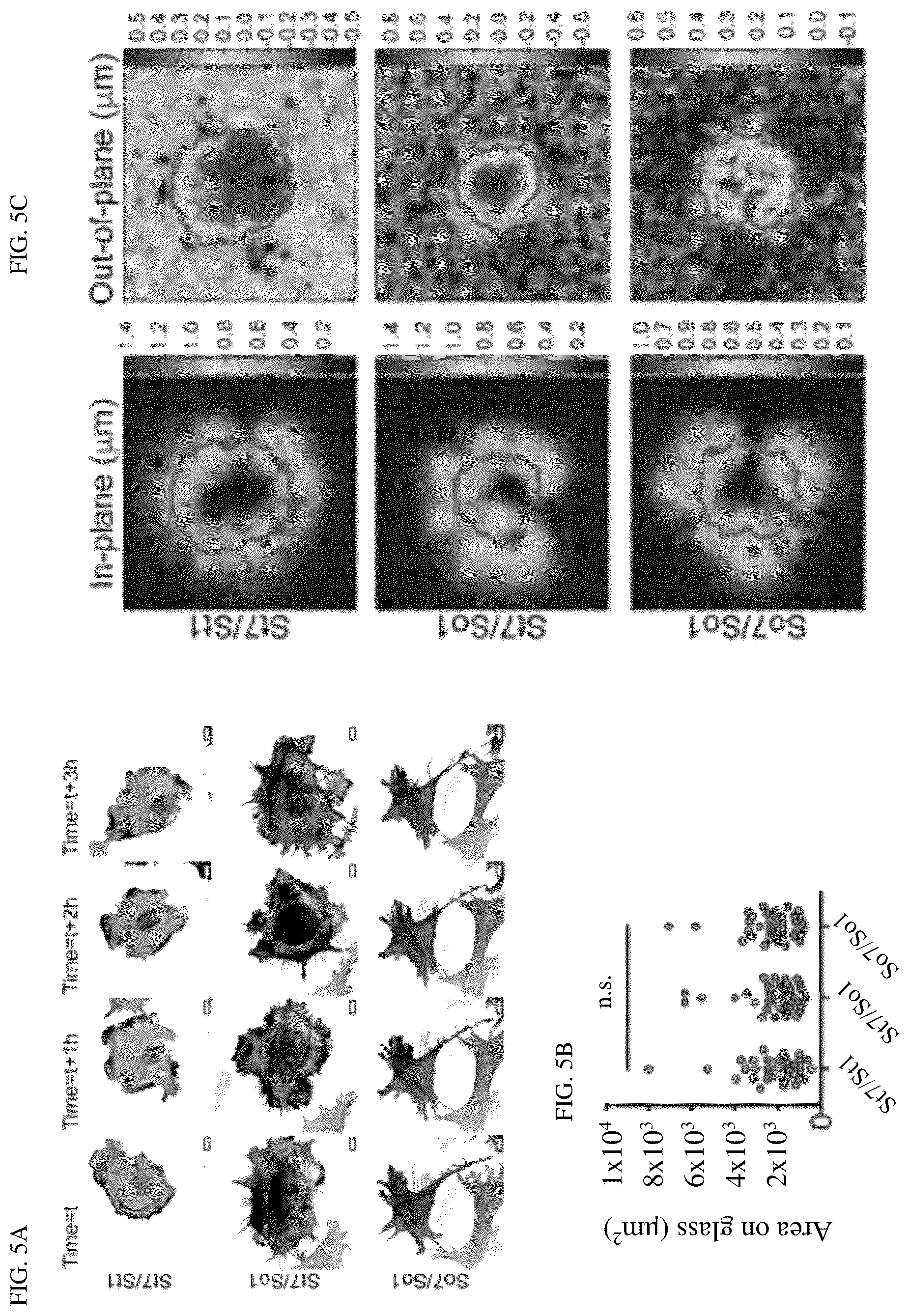 Patent US12139764 Figure 7 – Systems and methods for characterizing and treating breast cancer