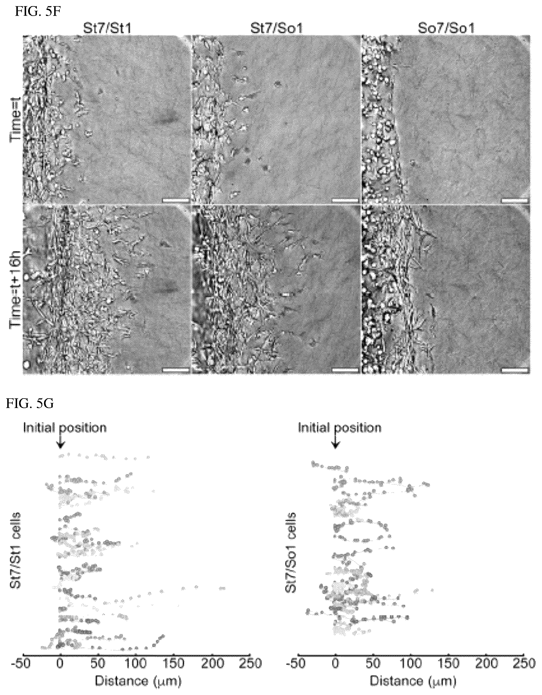 Patent US12139764 Figure 9 – Systems and methods for characterizing and treating breast cancer