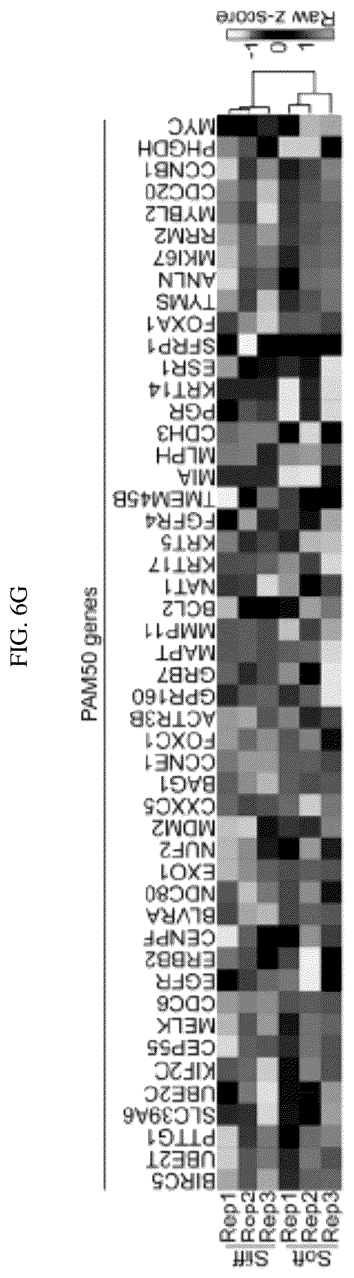 Patent US12139764 Figure 13 – Systems and methods for characterizing and treating breast cancer