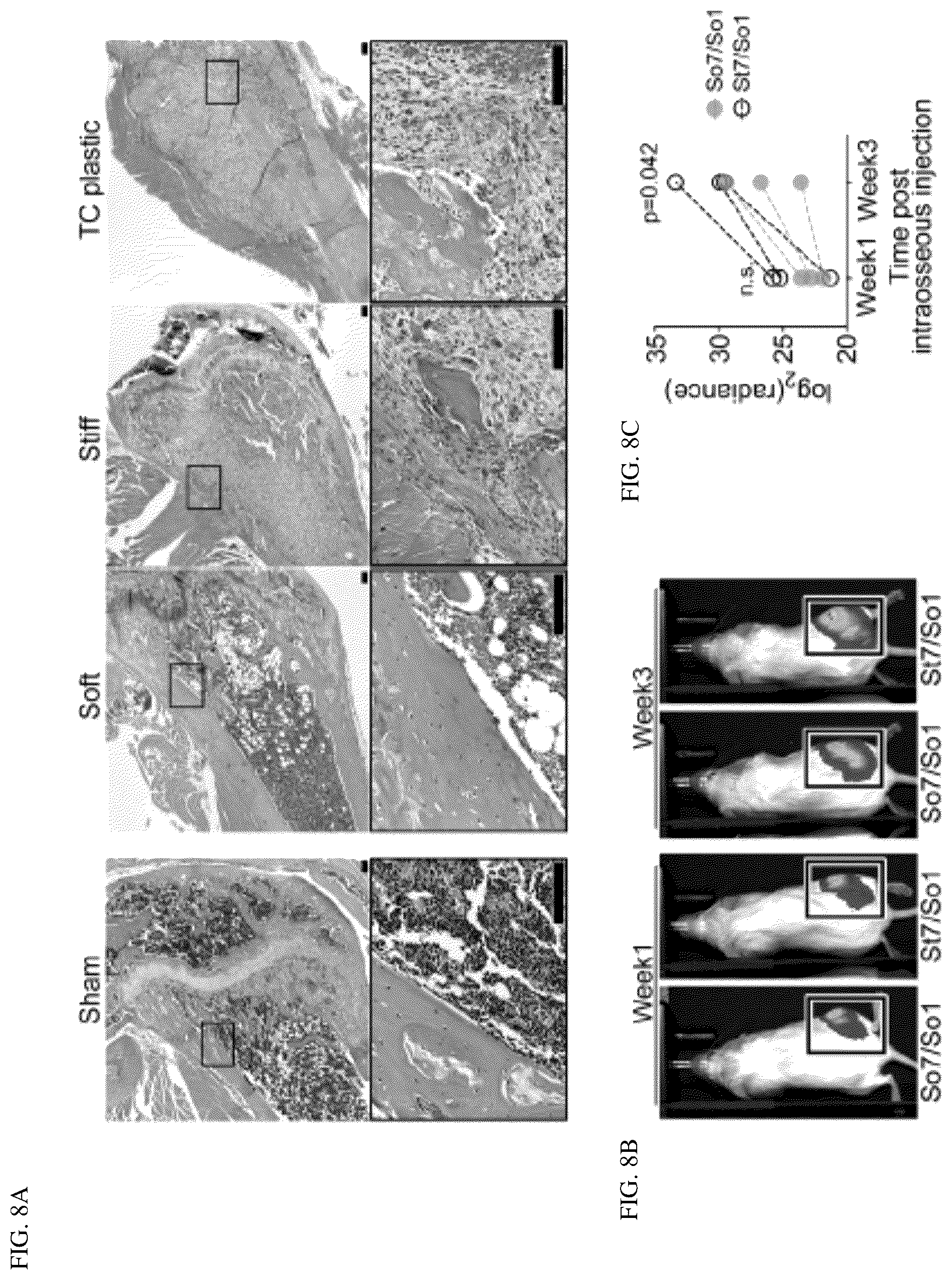 Patent US12139764 Figure 18 – Systems and methods for characterizing and treating breast cancer