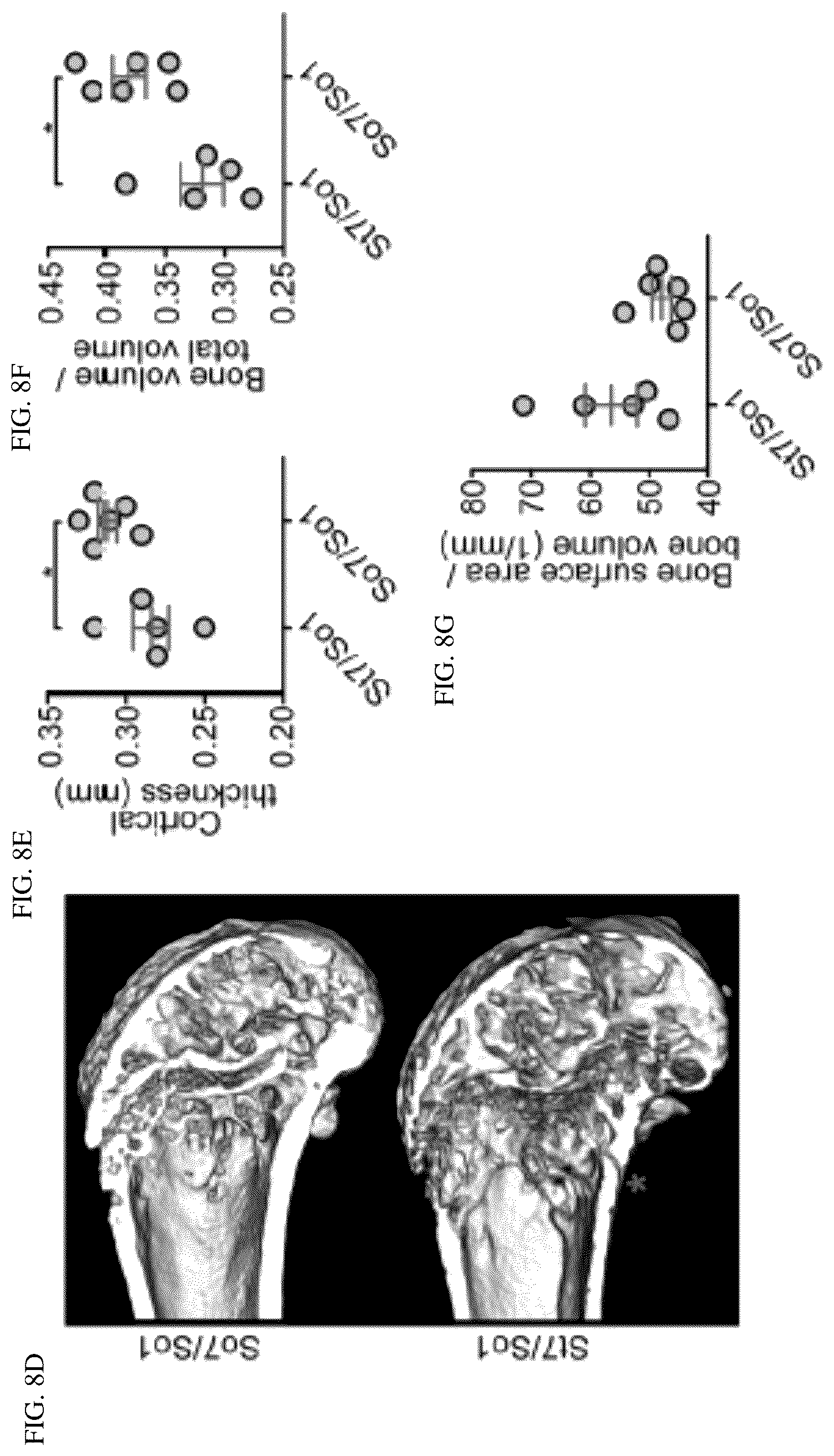 Patent US12139764 Figure 19 – Systems and methods for characterizing and treating breast cancer