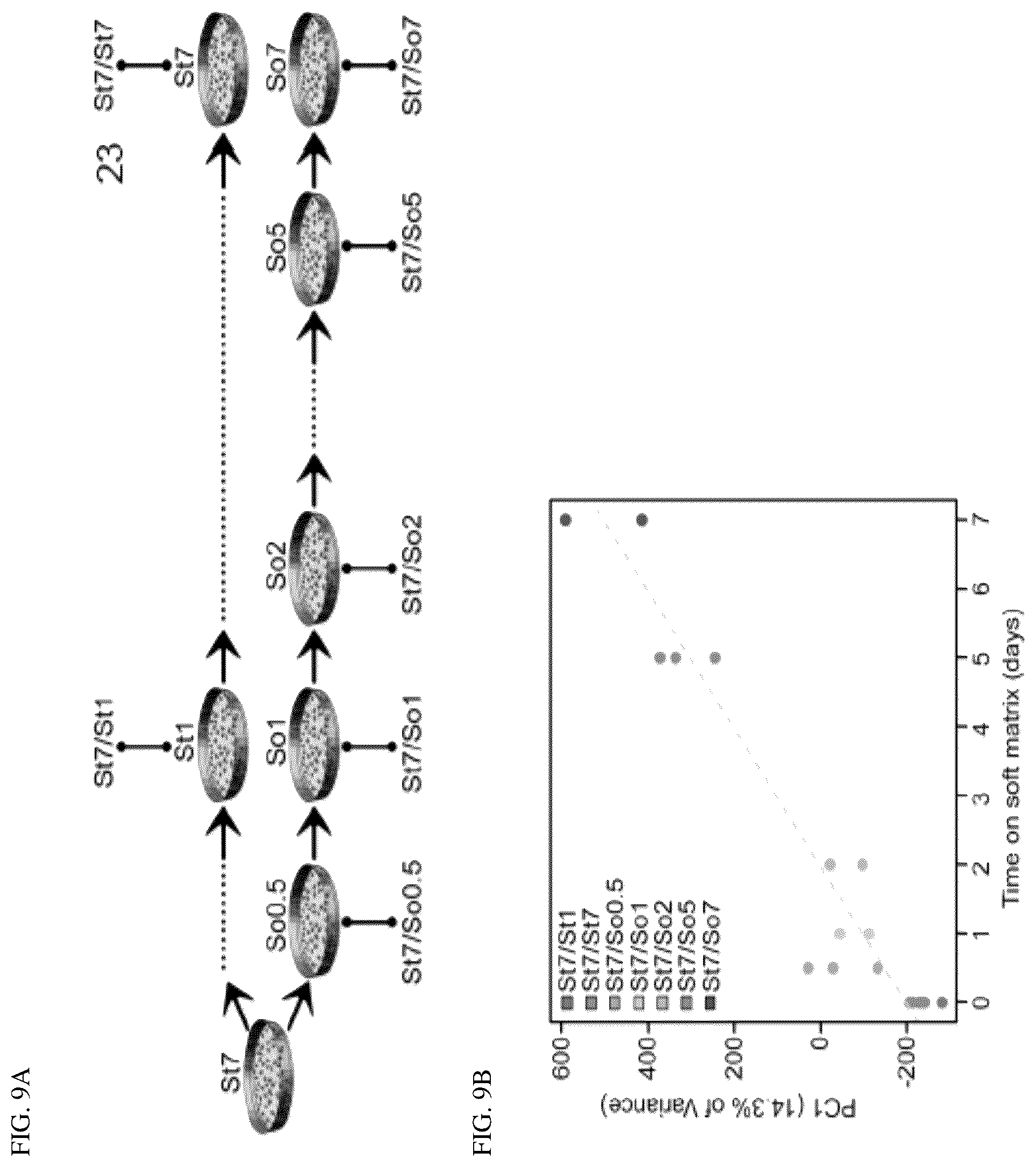 Patent US12139764 Figure 20 – Systems and methods for characterizing and treating breast cancer