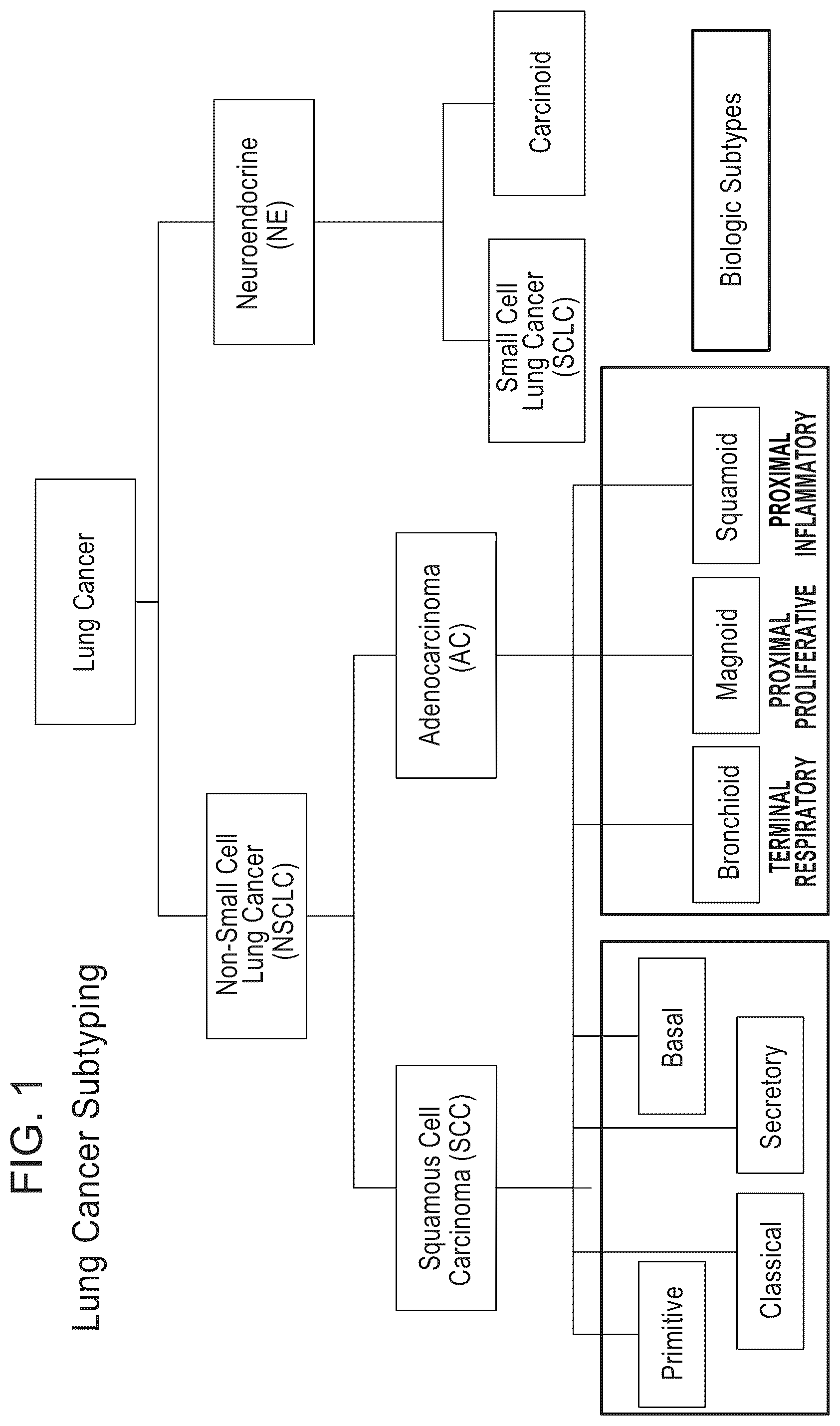 Patent US12139765 Figure 1 – Methods for subtyping of lung squamous cell carcinoma