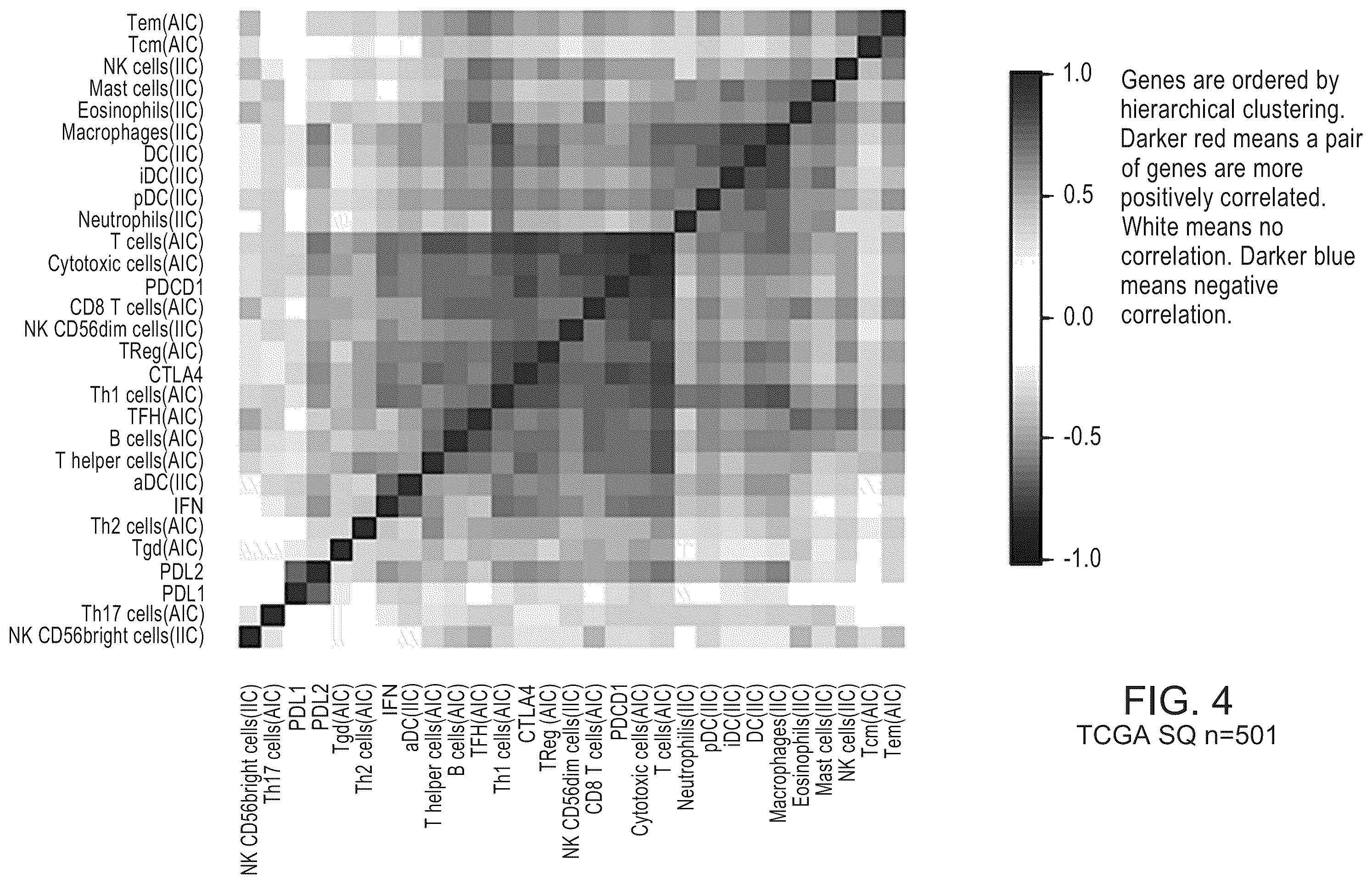 Patent US12139765 Figure 4 – Methods for subtyping of lung squamous cell carcinoma