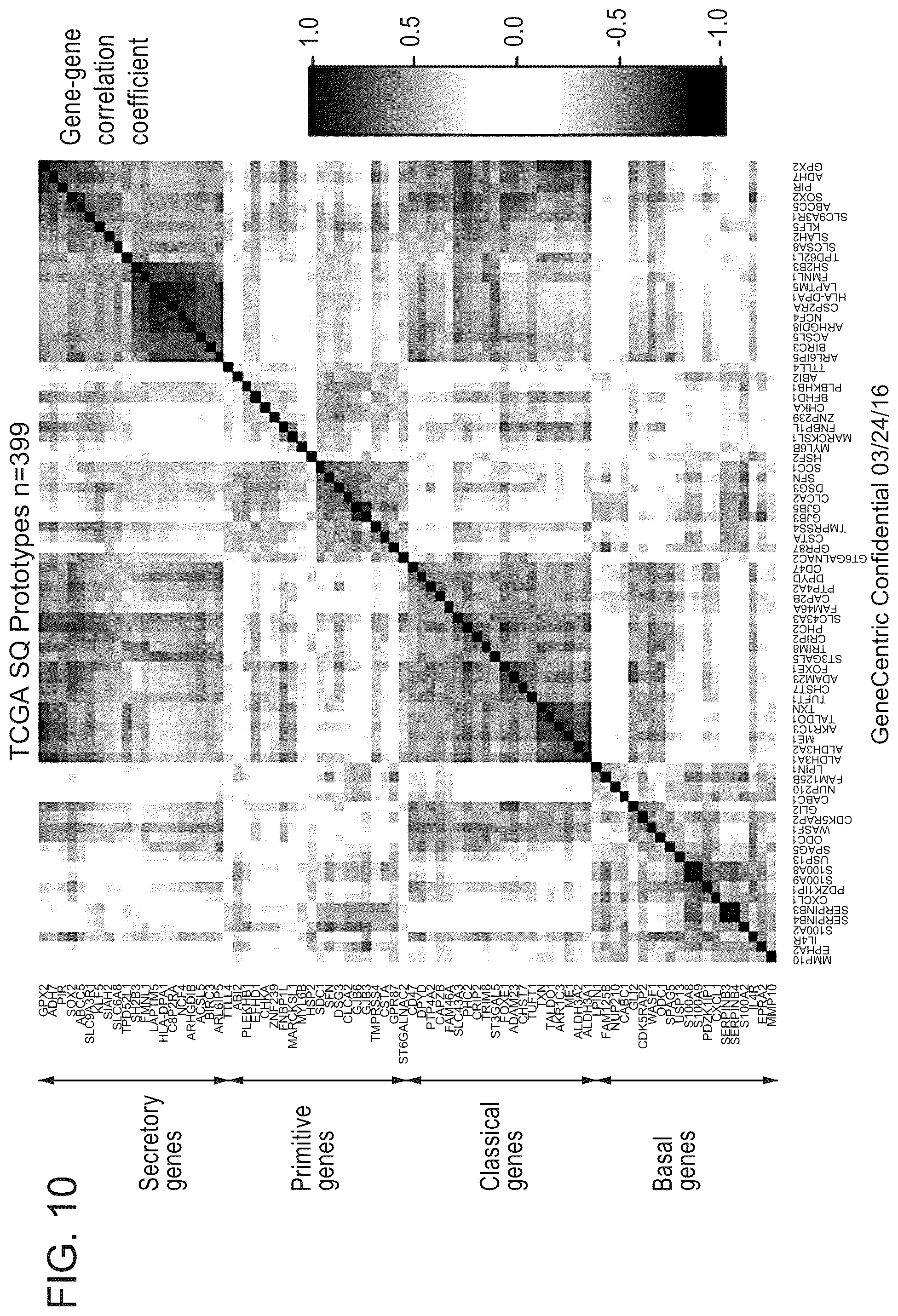 Patent US12139765 Figure 12 – Methods for subtyping of lung squamous cell carcinoma