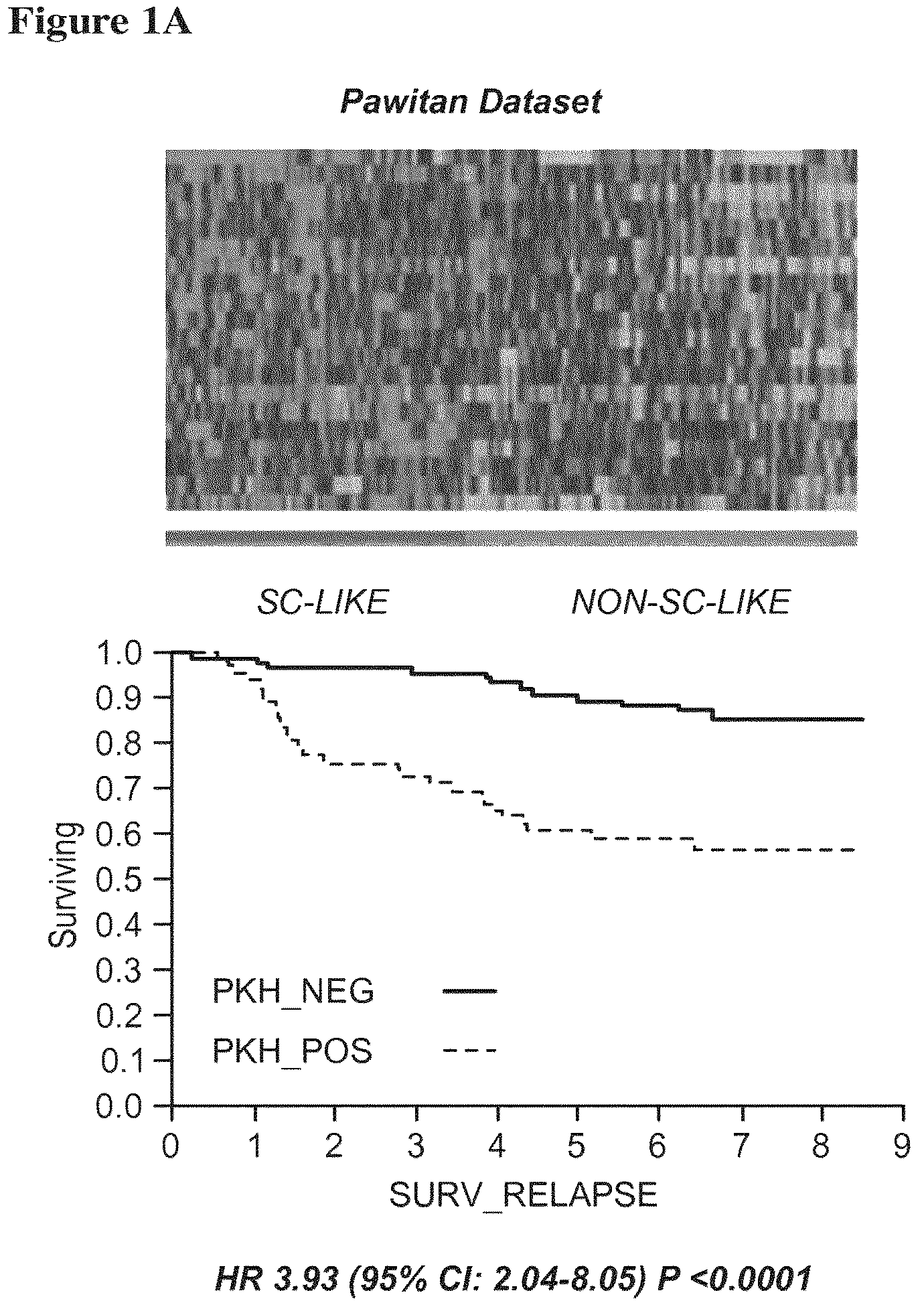 Patent US12139766 Figure 1 – Methods and kits comprising gene signatures for stratifying breast cancer patients