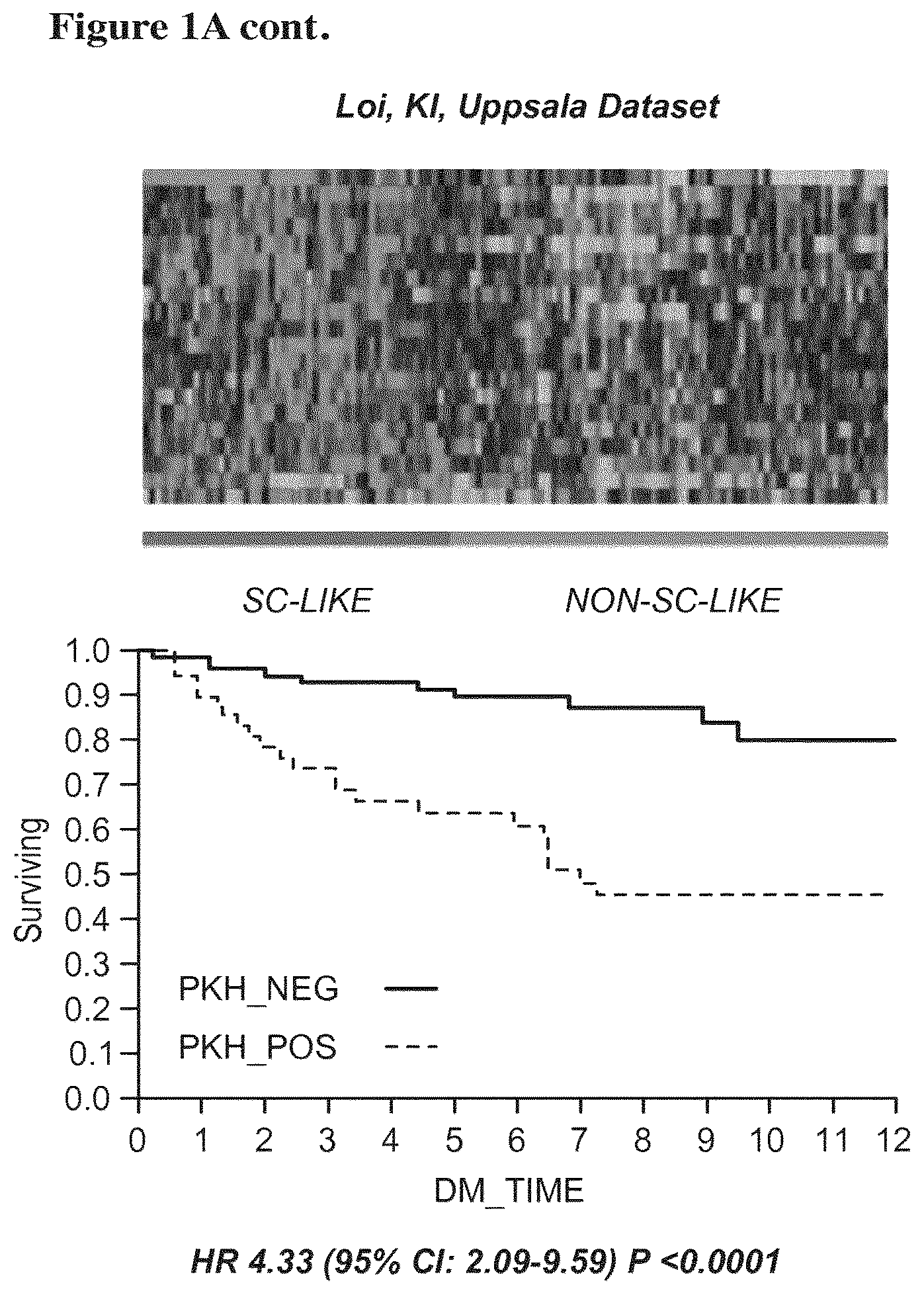 Patent US12139766 Figure 2 – Methods and kits comprising gene signatures for stratifying breast cancer patients
