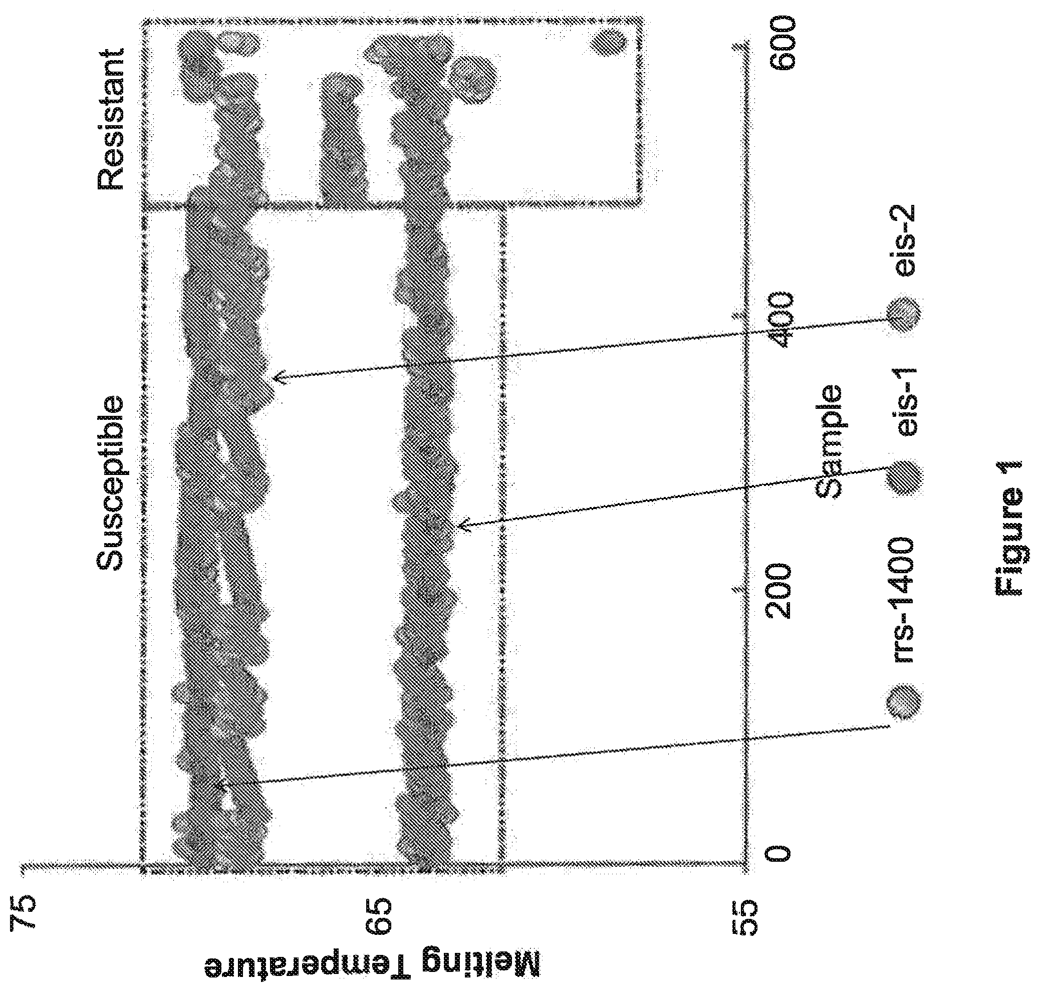 Patent US12139768 Figure 1 – Polymerase chain reaction primers and probes for Mycobacterium tuberculosis