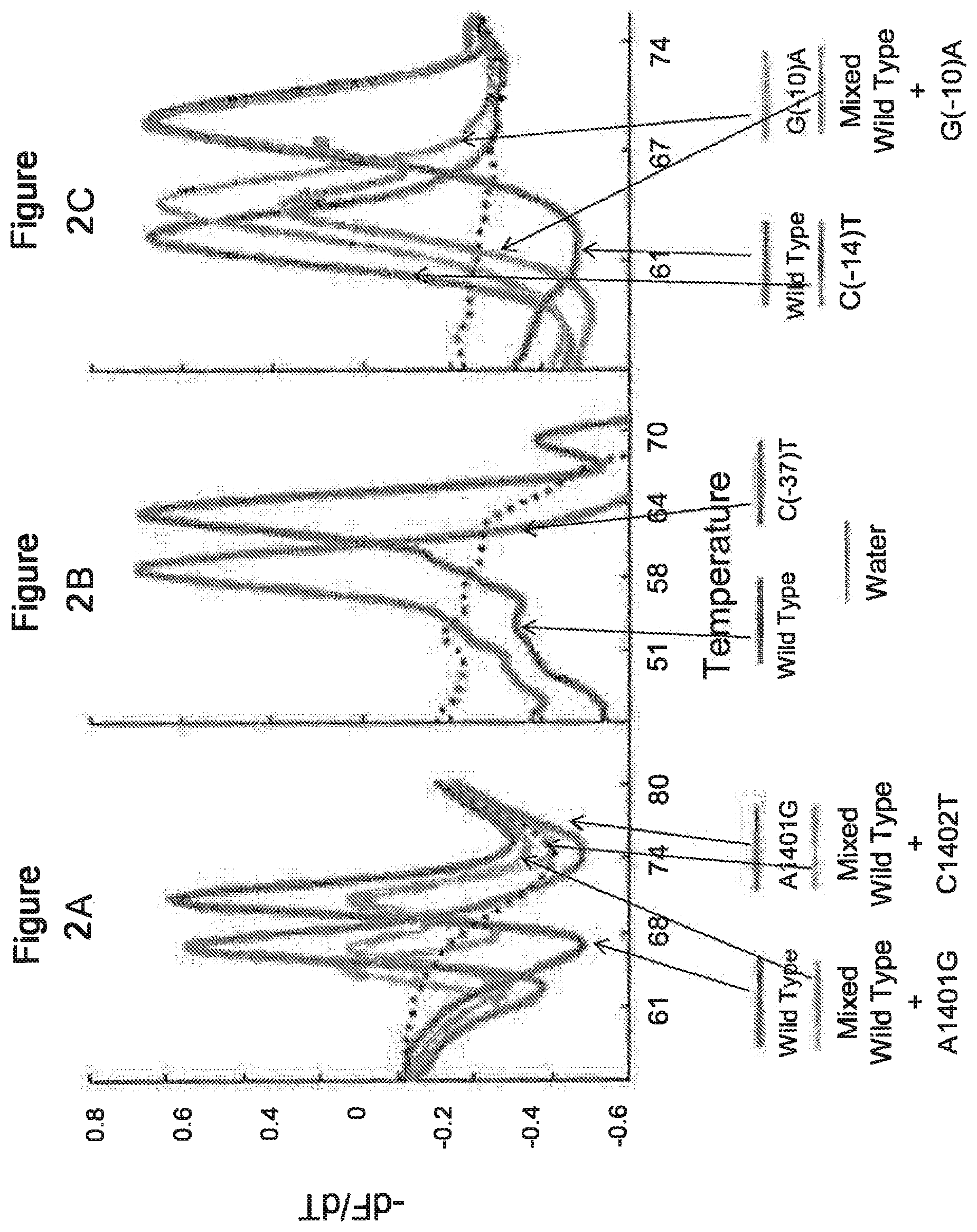 Patent US12139768 Figure 2 – Polymerase chain reaction primers and probes for Mycobacterium tuberculosis