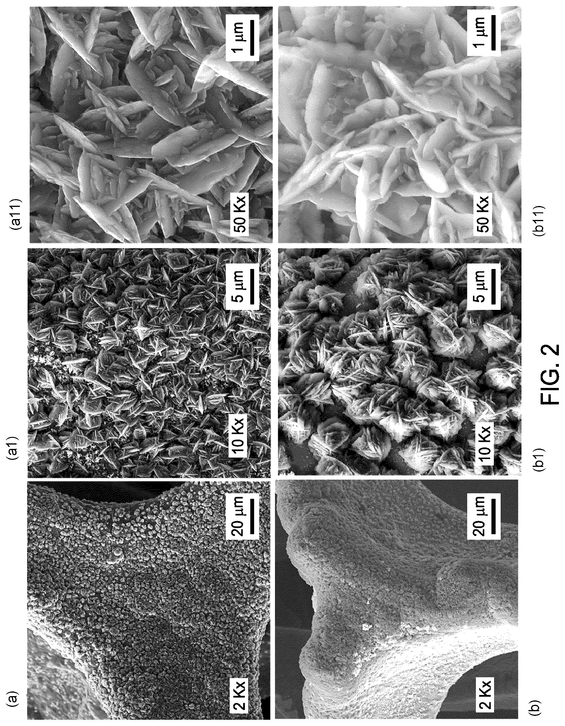 Patent US12139798 Figure 2 – Electrocatalyst with a NiMoO4 layer with nanoflower morphology