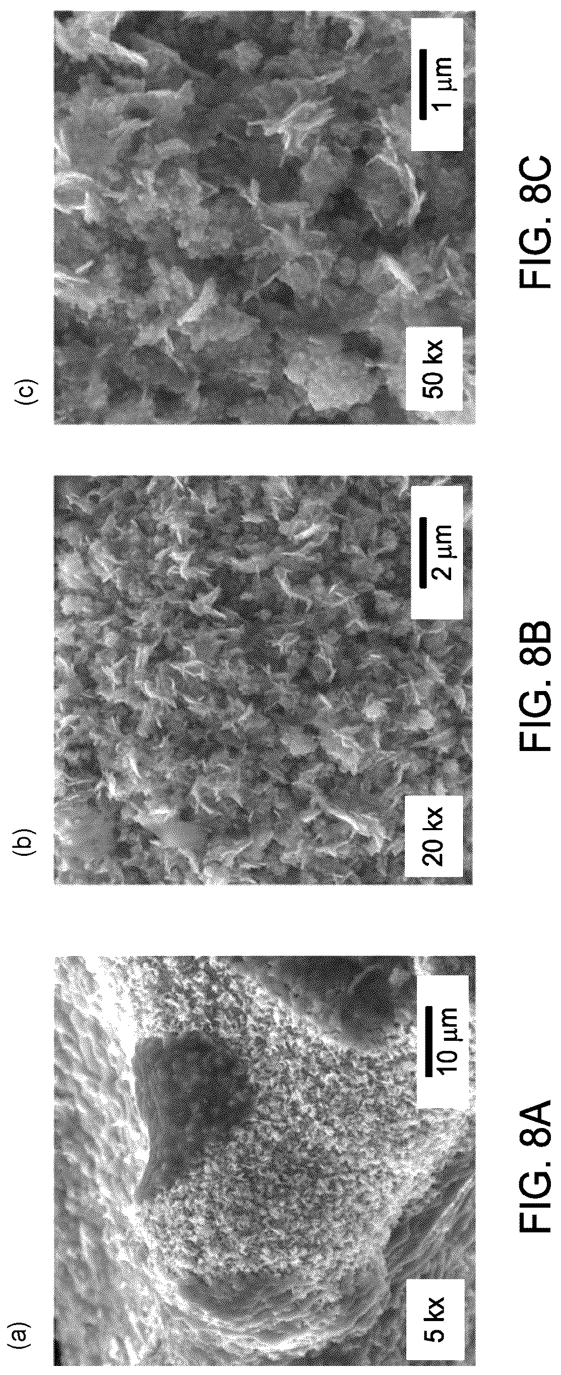 Patent US12139798 Figure 11 – Electrocatalyst with a NiMoO4 layer with nanoflower morphology