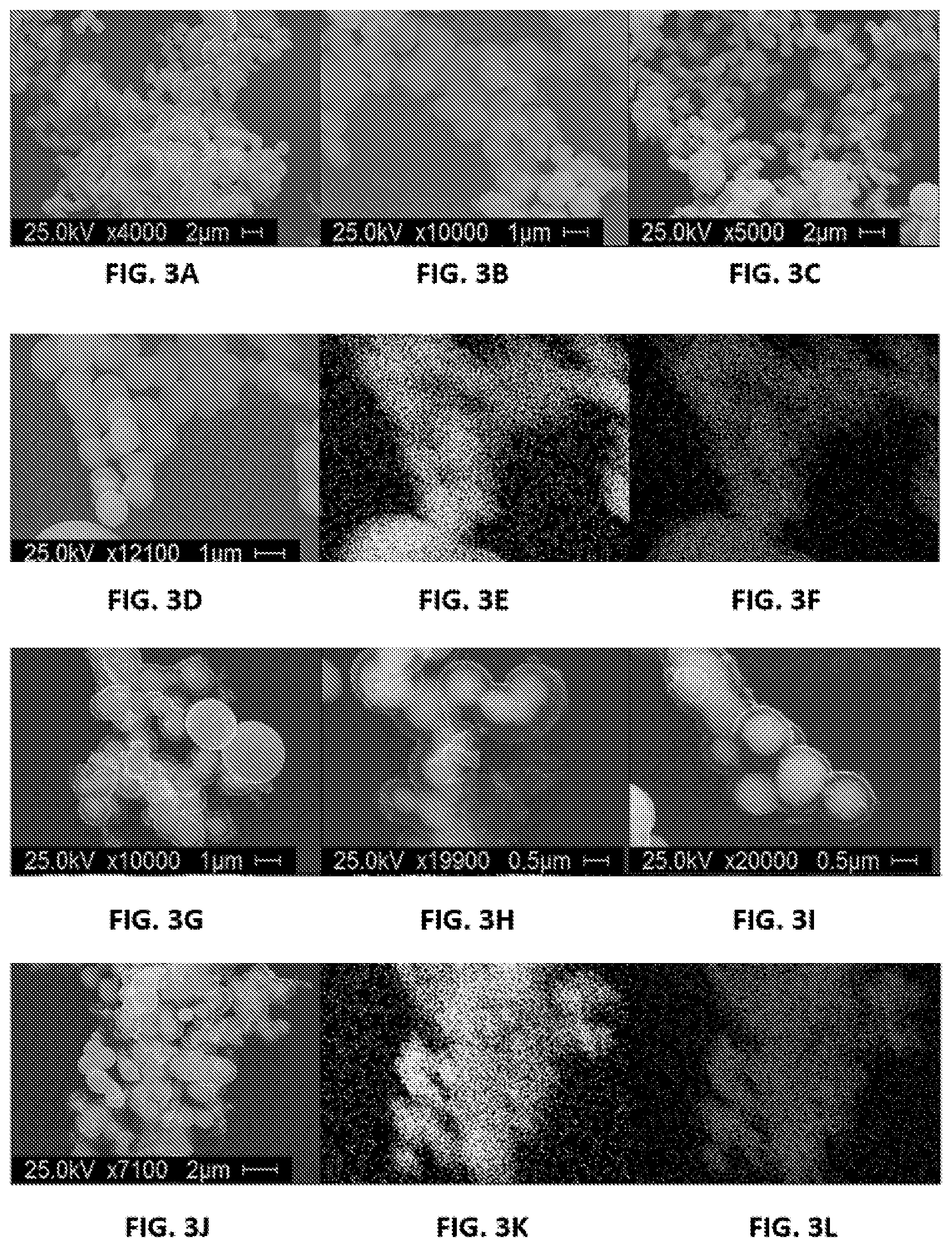 Patent US12139800 Figure 3 – Methods and compositions for oxygen electrocatalysis