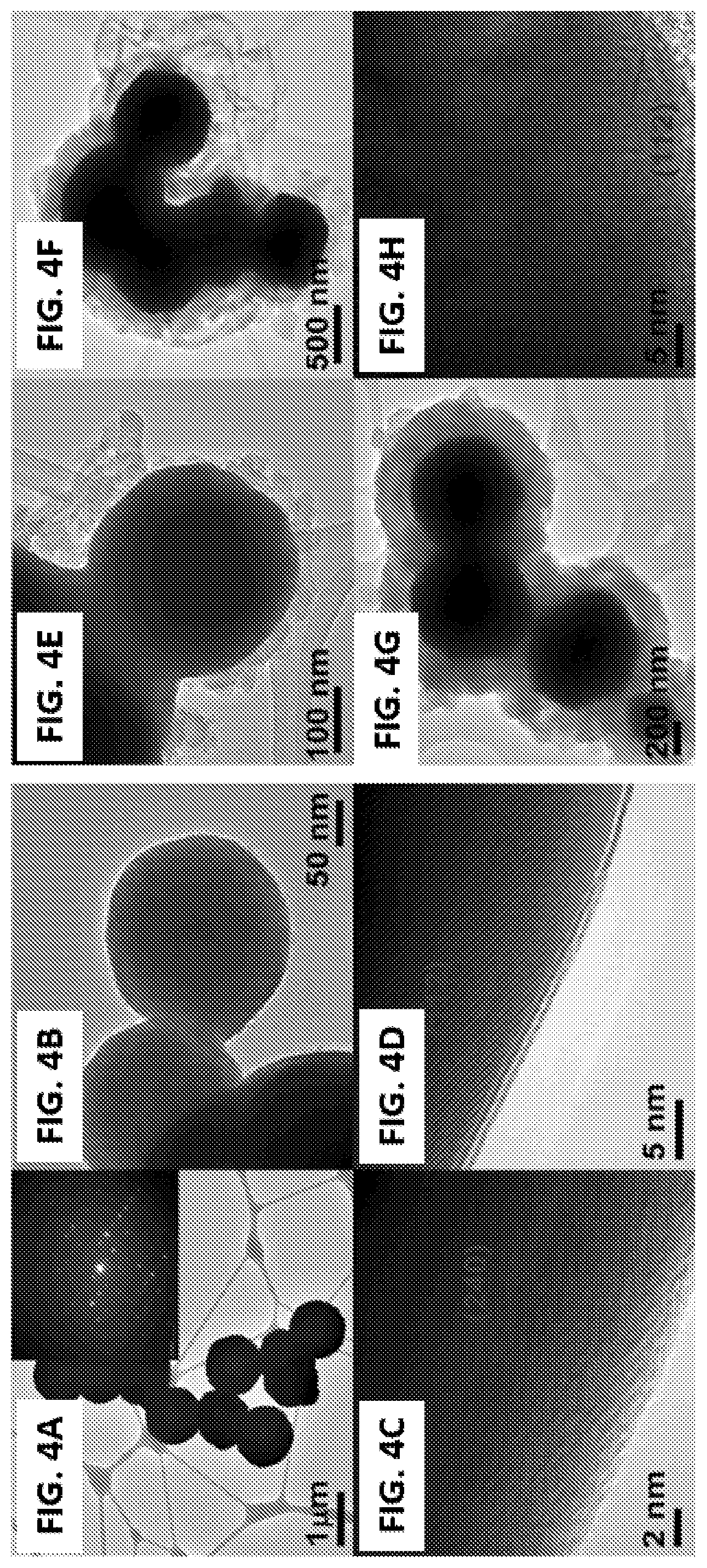 Patent US12139800 Figure 4 – Methods and compositions for oxygen electrocatalysis