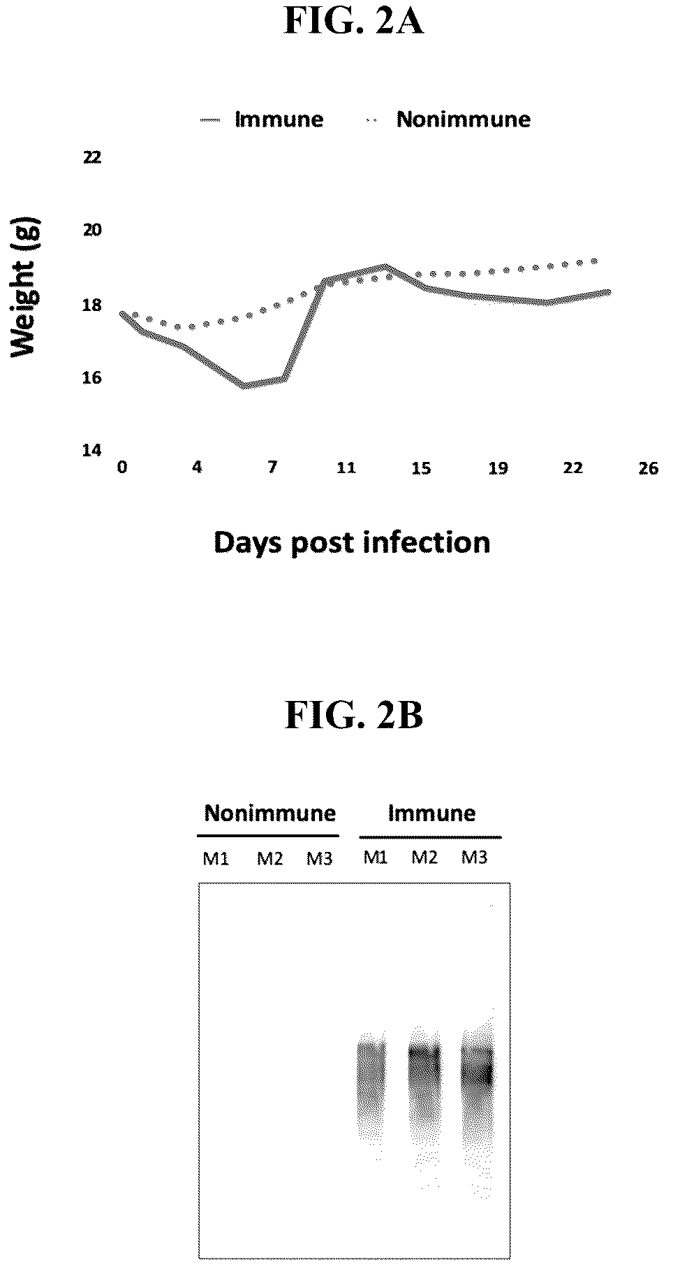 Patent US12139815 Figure 2 – Methods for rapid detection of immunogenic epitopes in biothreat agents and emerging pathogens for peptide vaccines and therapeutics