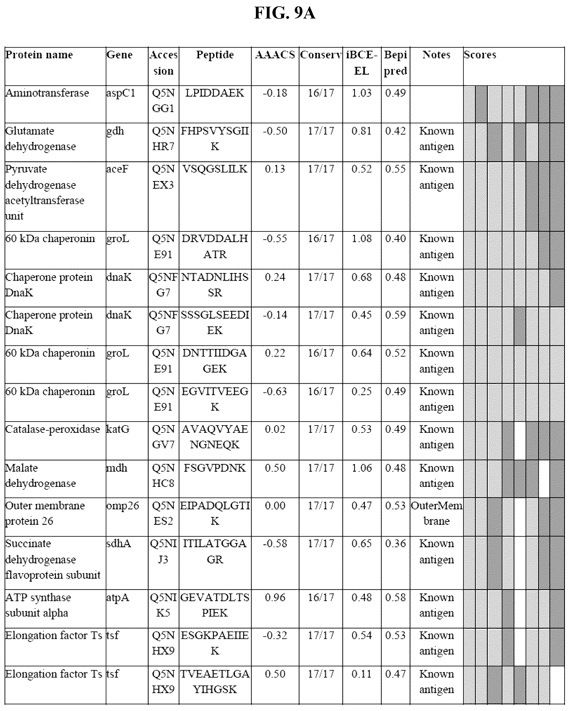 Patent US12139815 Figure 12 – Methods for rapid detection of immunogenic epitopes in biothreat agents and emerging pathogens for peptide vaccines and therapeutics