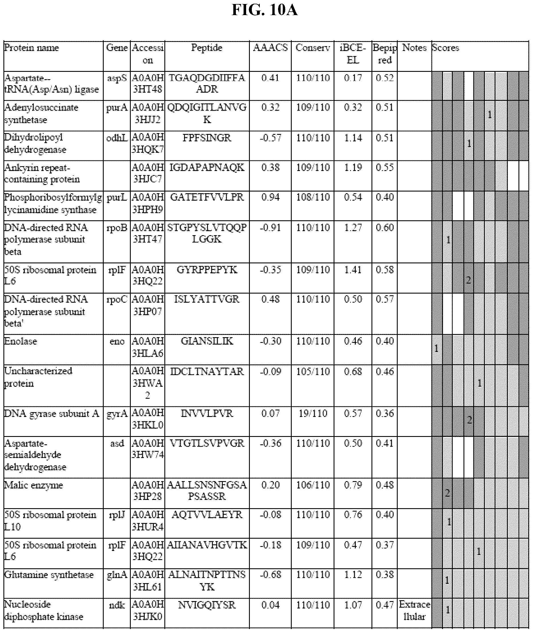 Patent US12139815 Figure 15 – Methods for rapid detection of immunogenic epitopes in biothreat agents and emerging pathogens for peptide vaccines and therapeutics