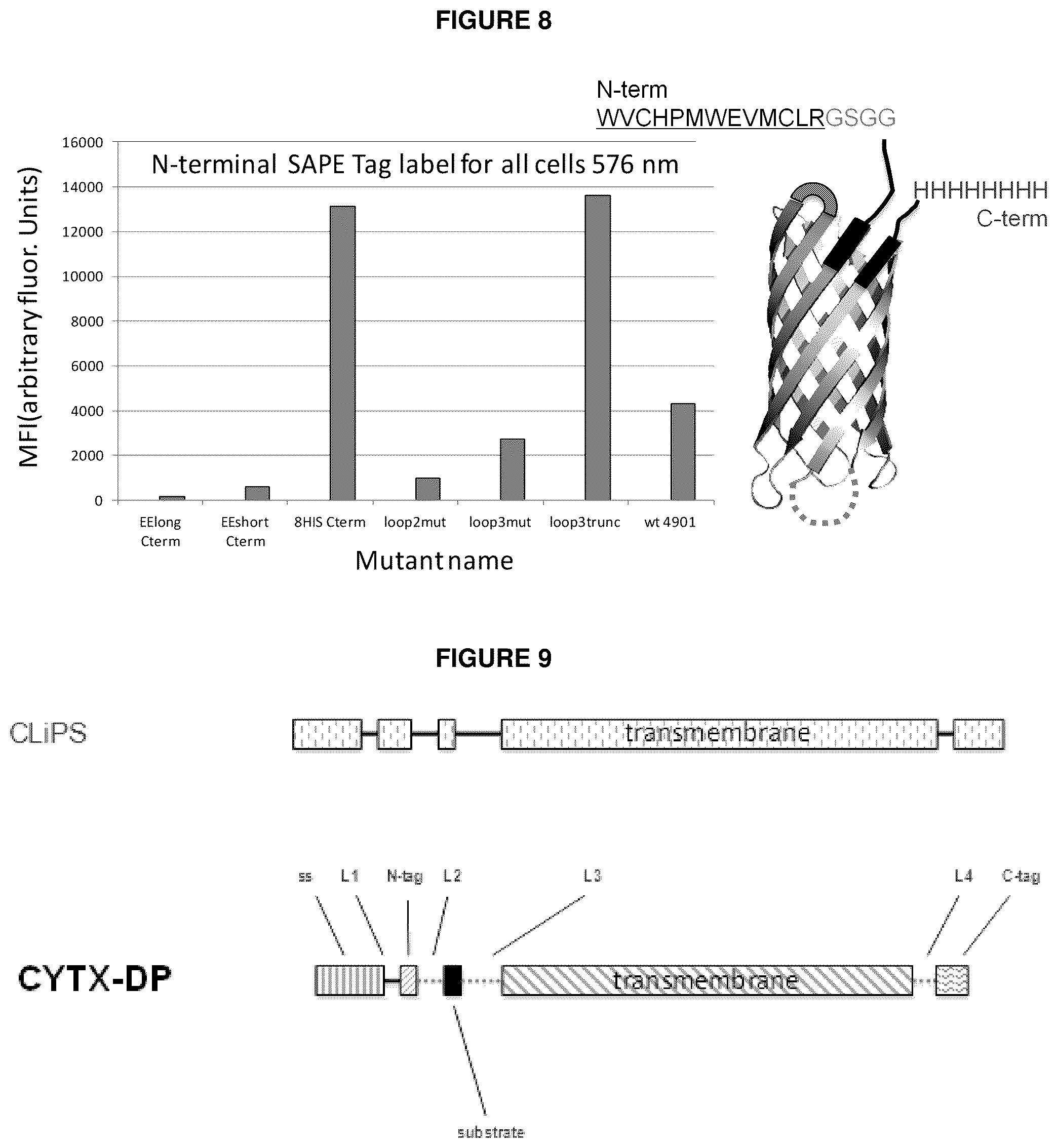 Patent US12139816 Figure 10 – Protease-resistant systems for polypeptide display and methods of making and using thereof
