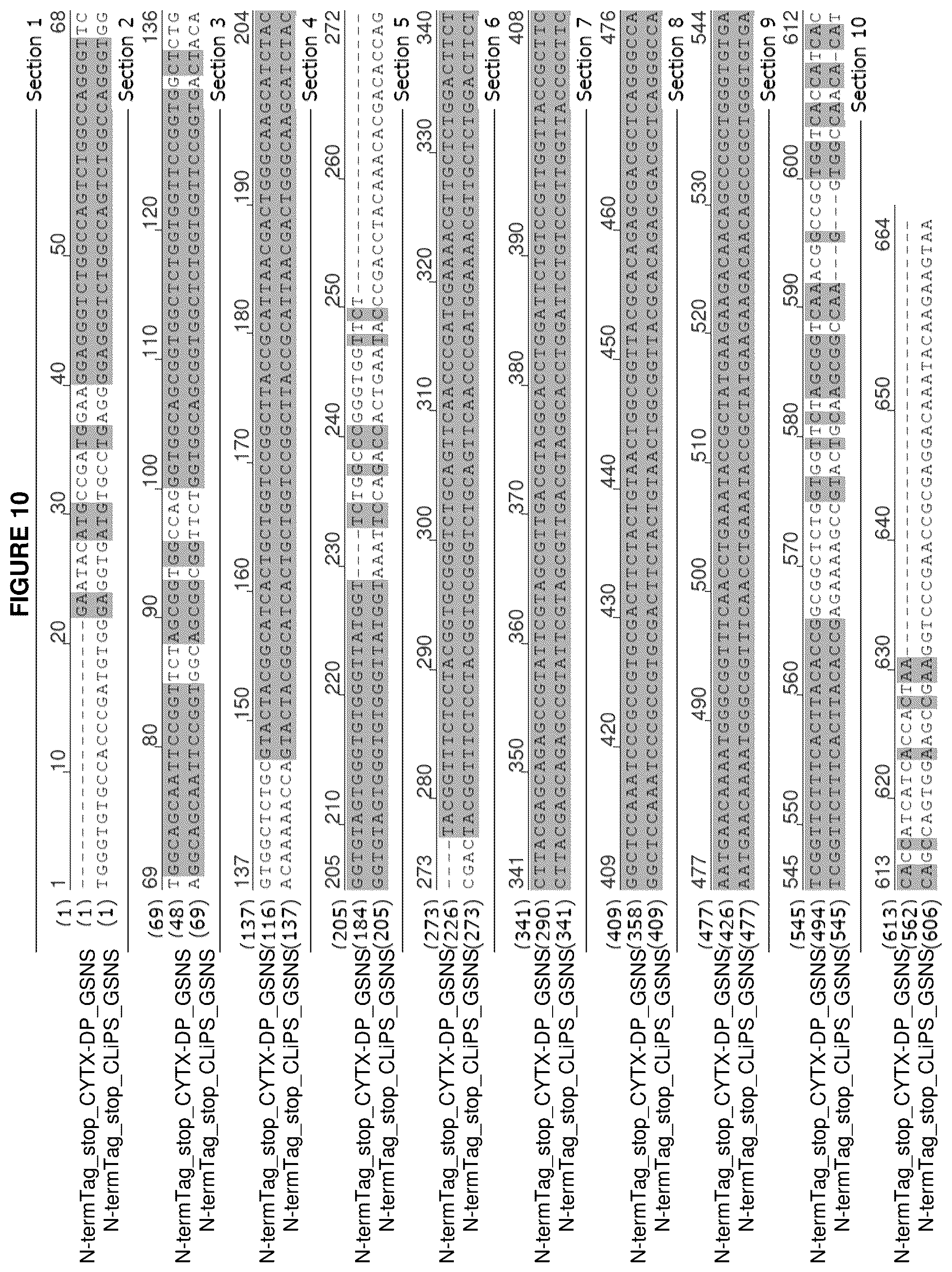 Patent US12139816 Figure 11 – Protease-resistant systems for polypeptide display and methods of making and using thereof
